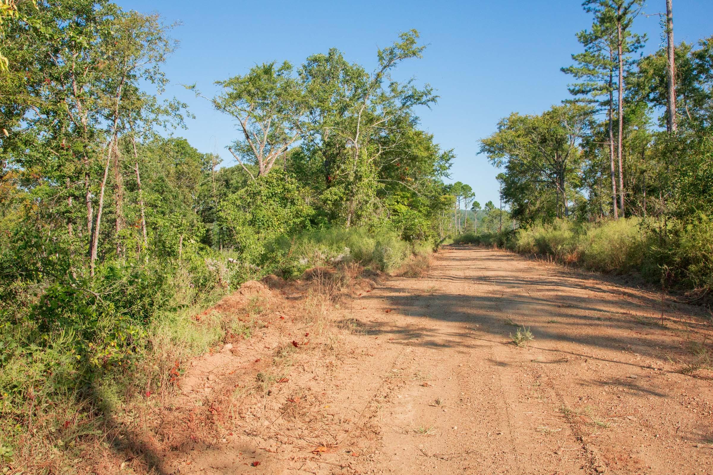 Stone Creek Phase II Tract 273 photo 7