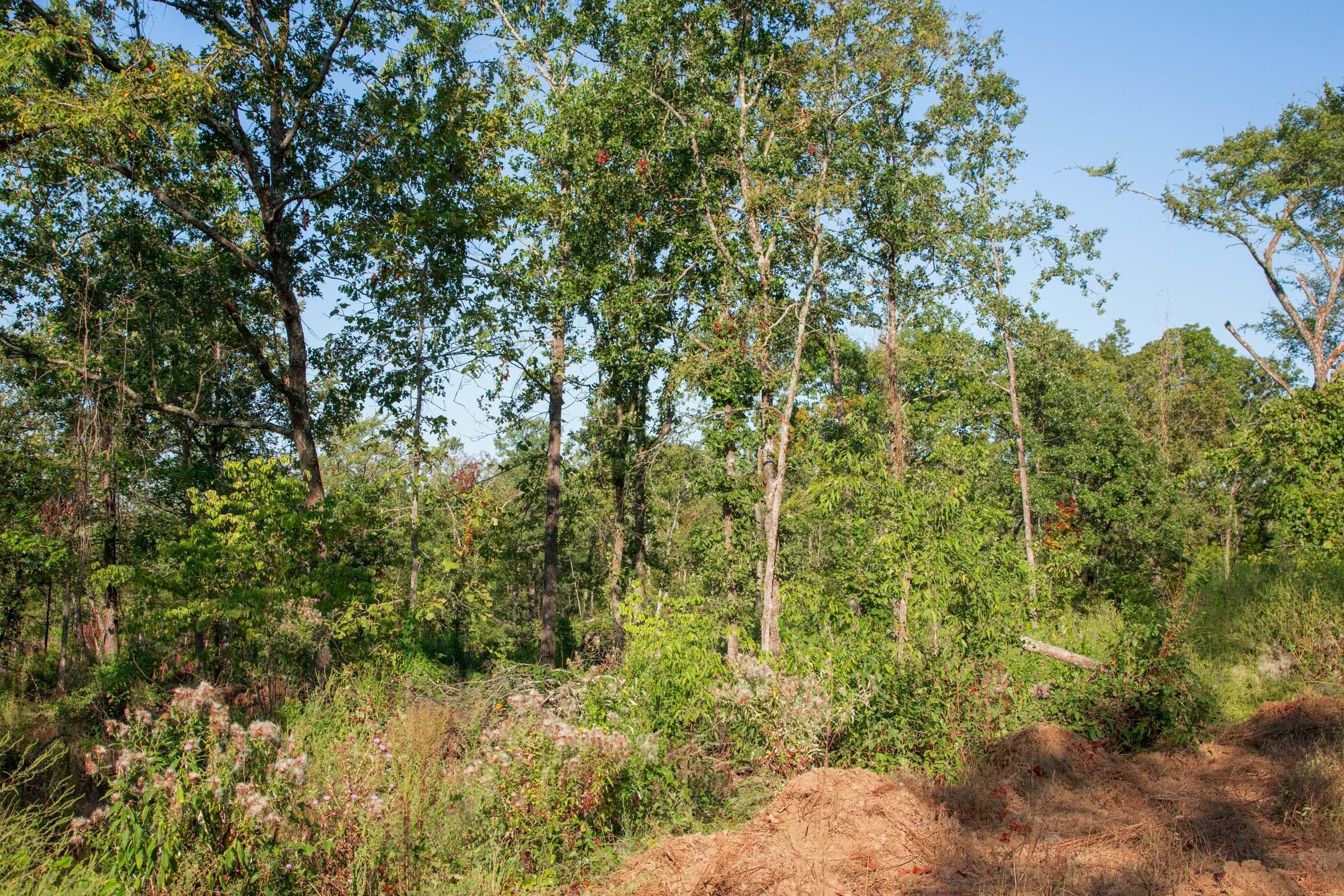 Stone Creek Phase II Tract 273 photo 5