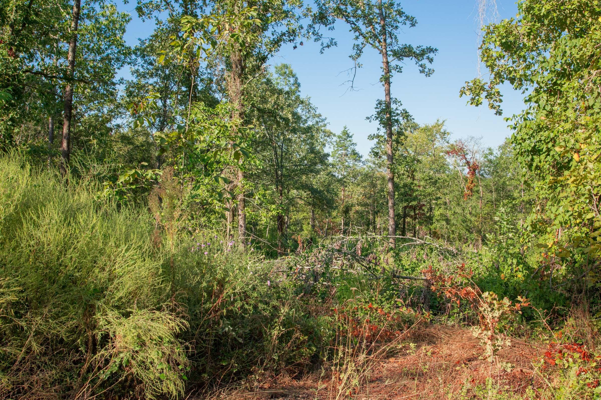 Stone Creek Phase II Tract 273 photo 3