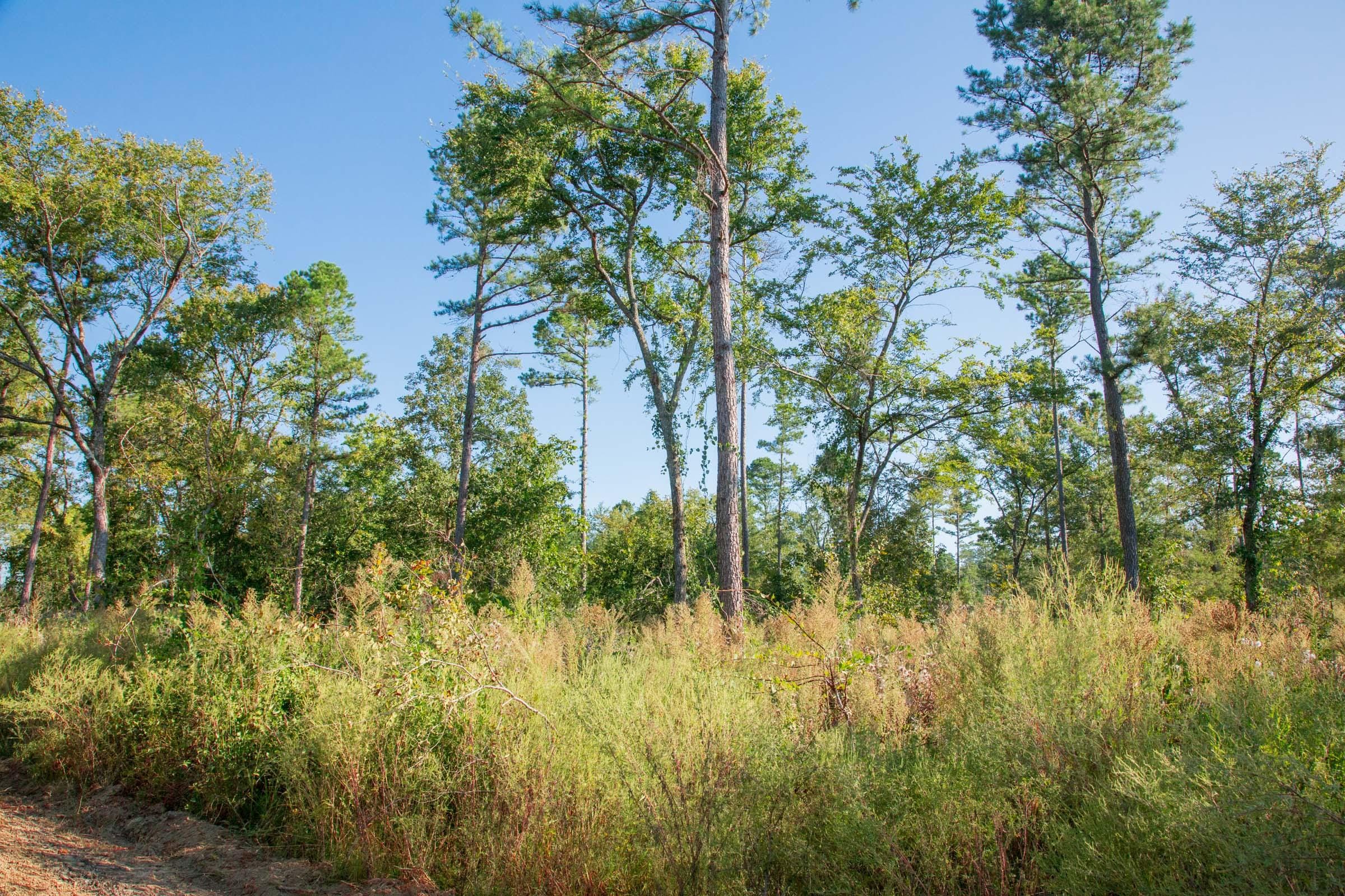 Stone Creek Phase II Tract 273 photo 8