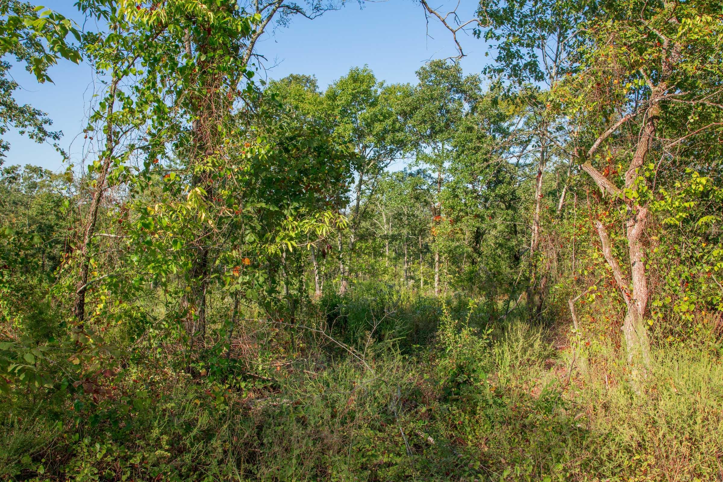 Stone Creek Phase II Tract 273 photo 9