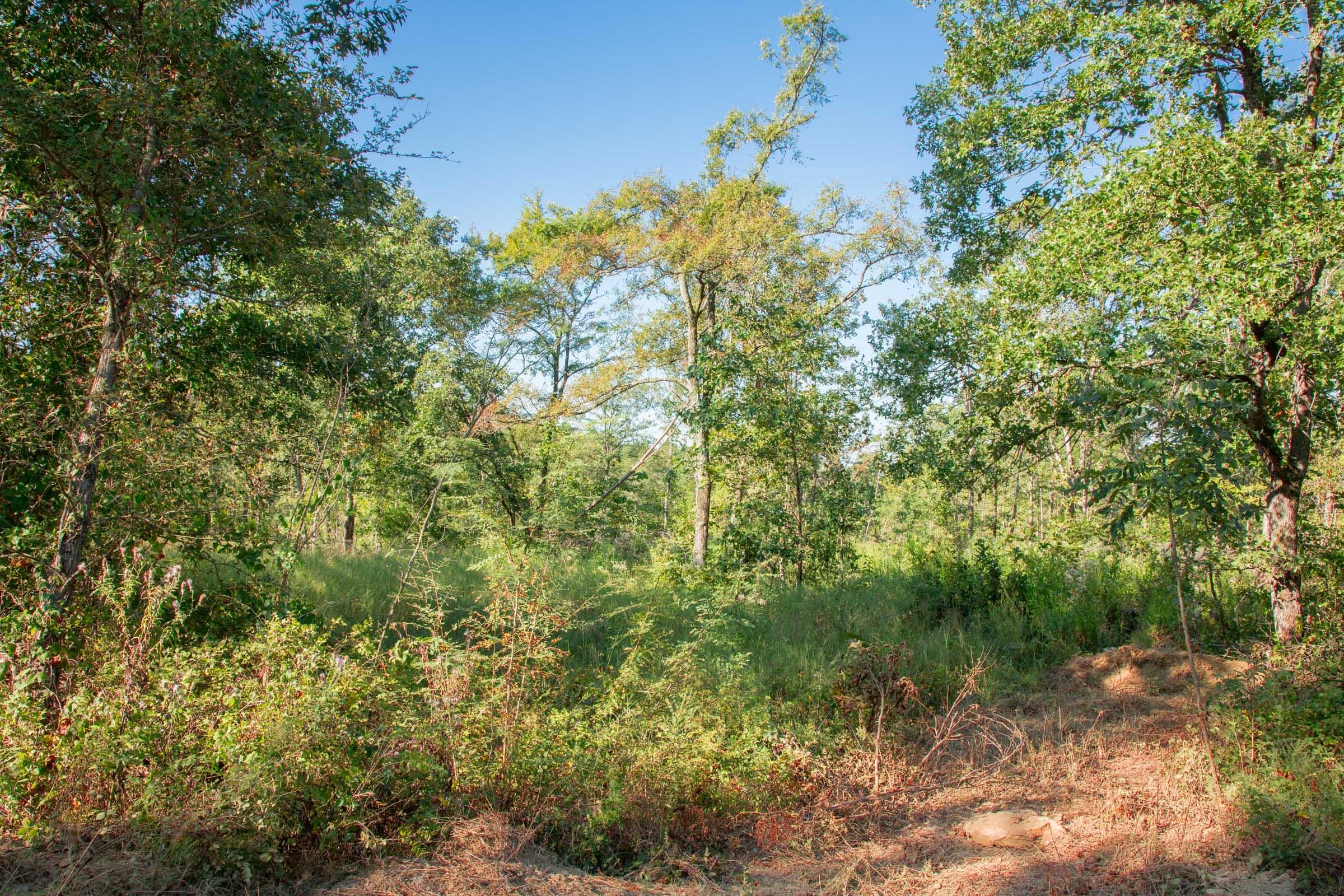 Stone Creek Phase II Tract 273 photo 11