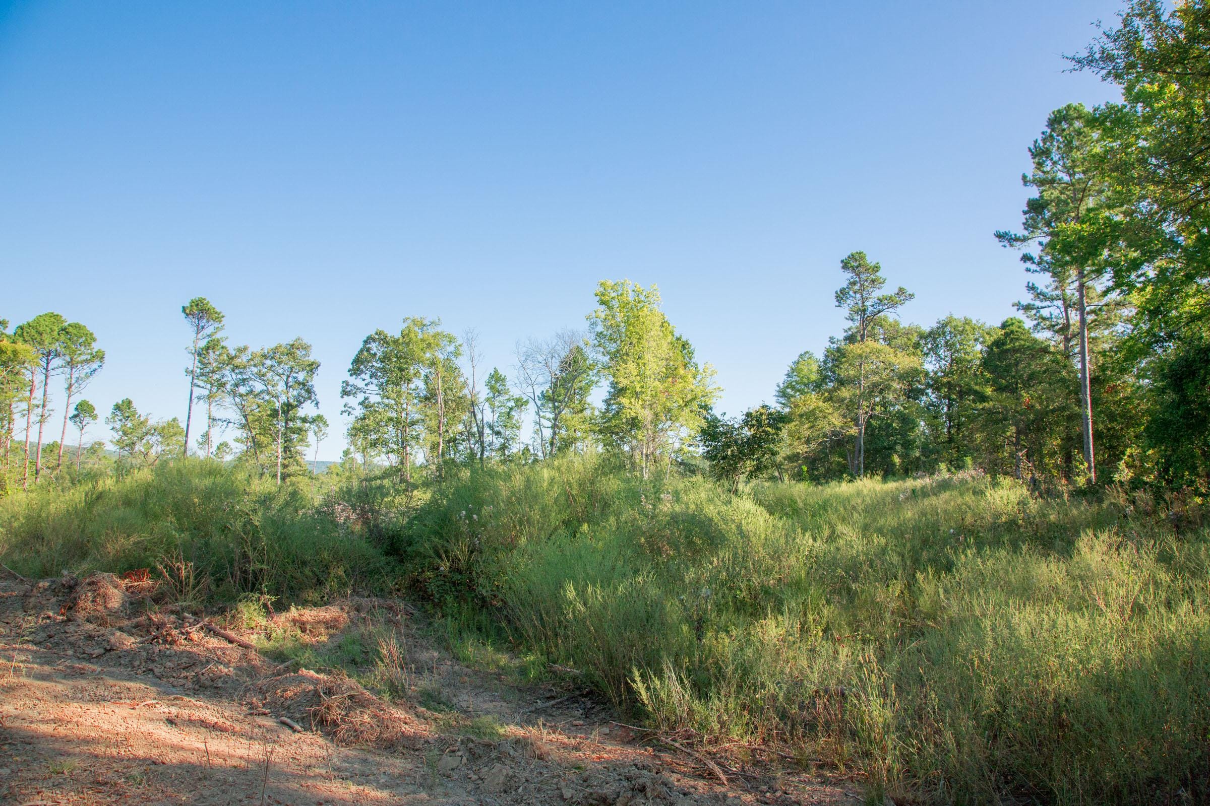 Stone Creek Phase II Tract 273 photo 10