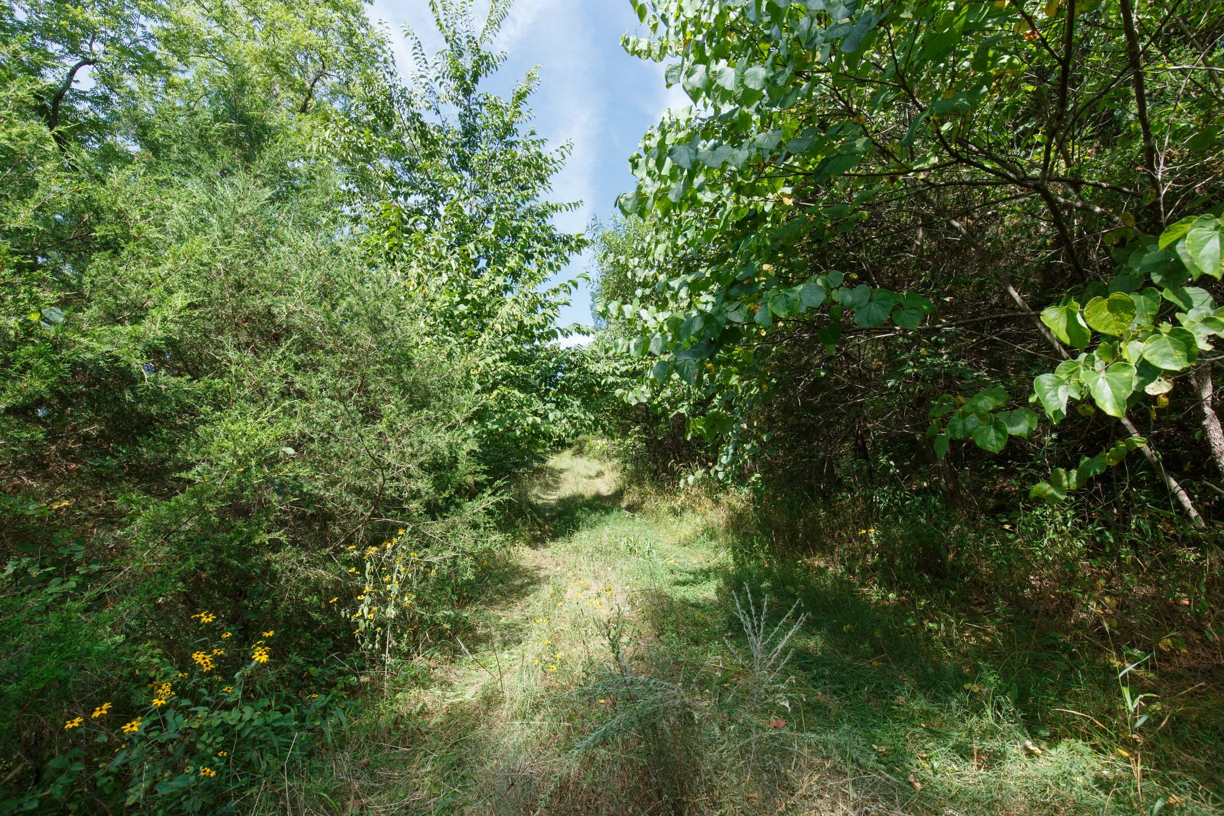Spring Lake Plat 6 Tract 154 photo 1