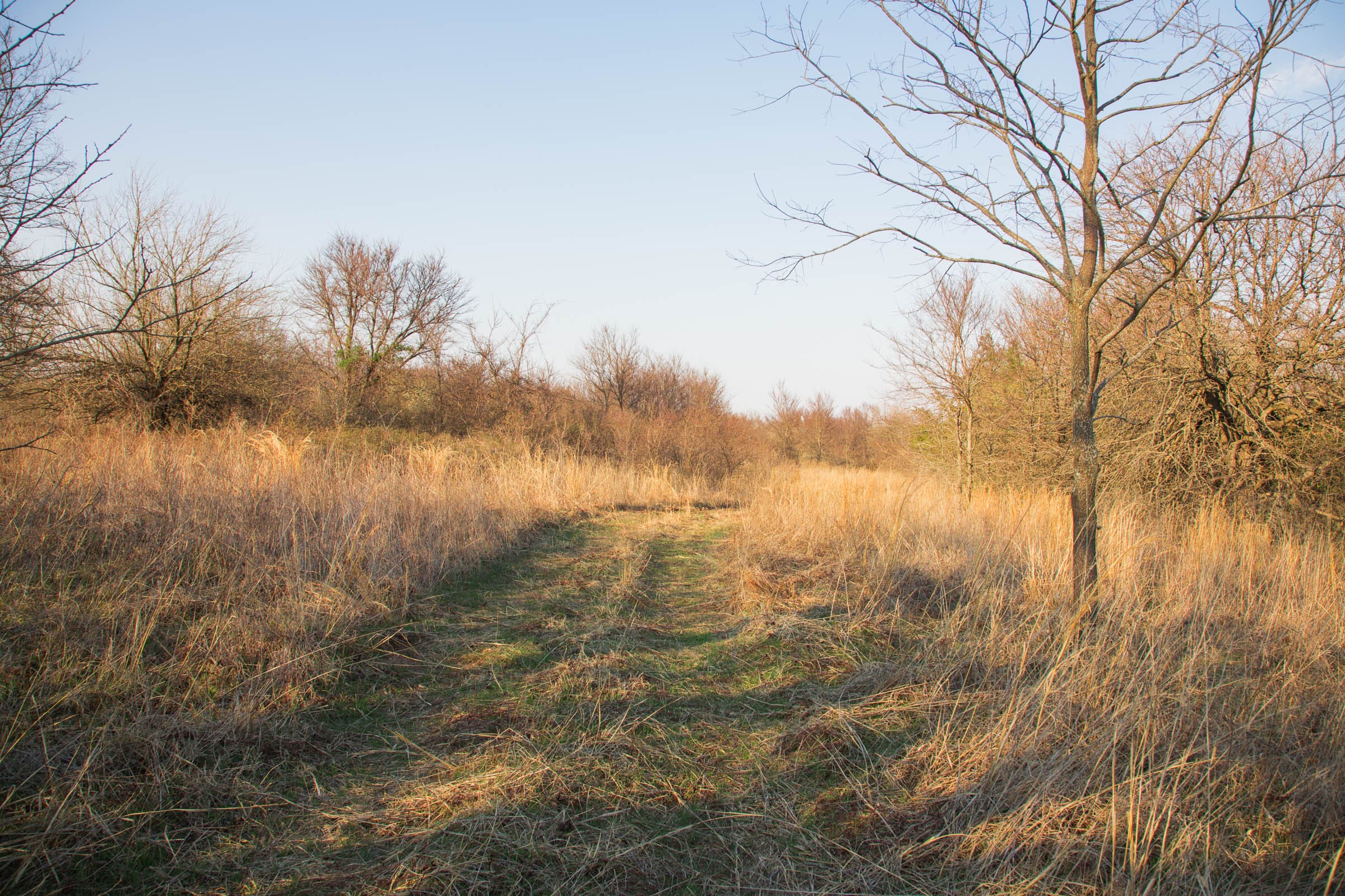 Eufaula Cove Tract 10 photo 1
