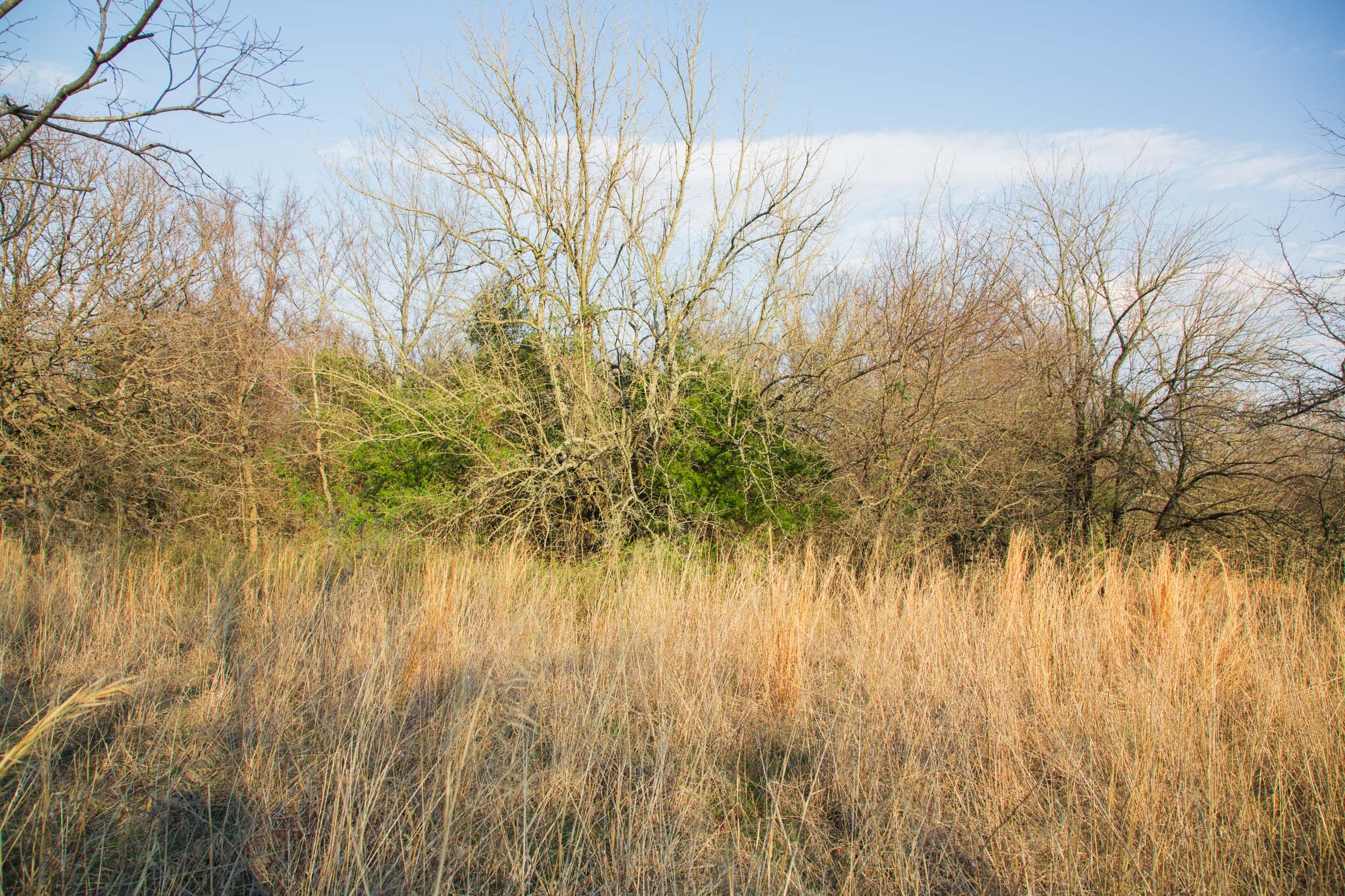 Eufaula Cove Tract 10 photo 2