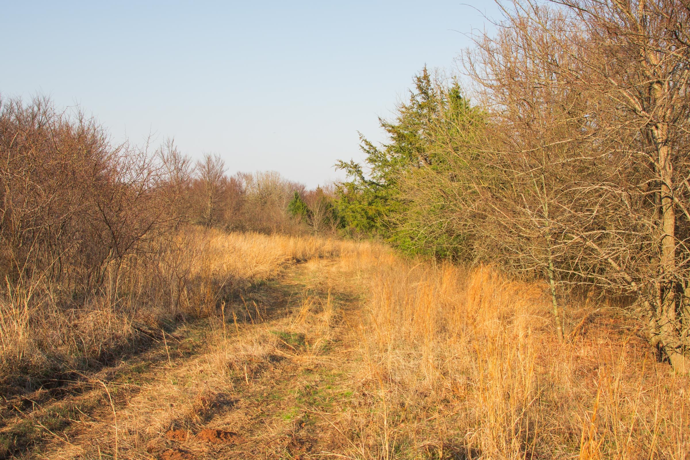 Eufaula Cove Tract 10 photo 3