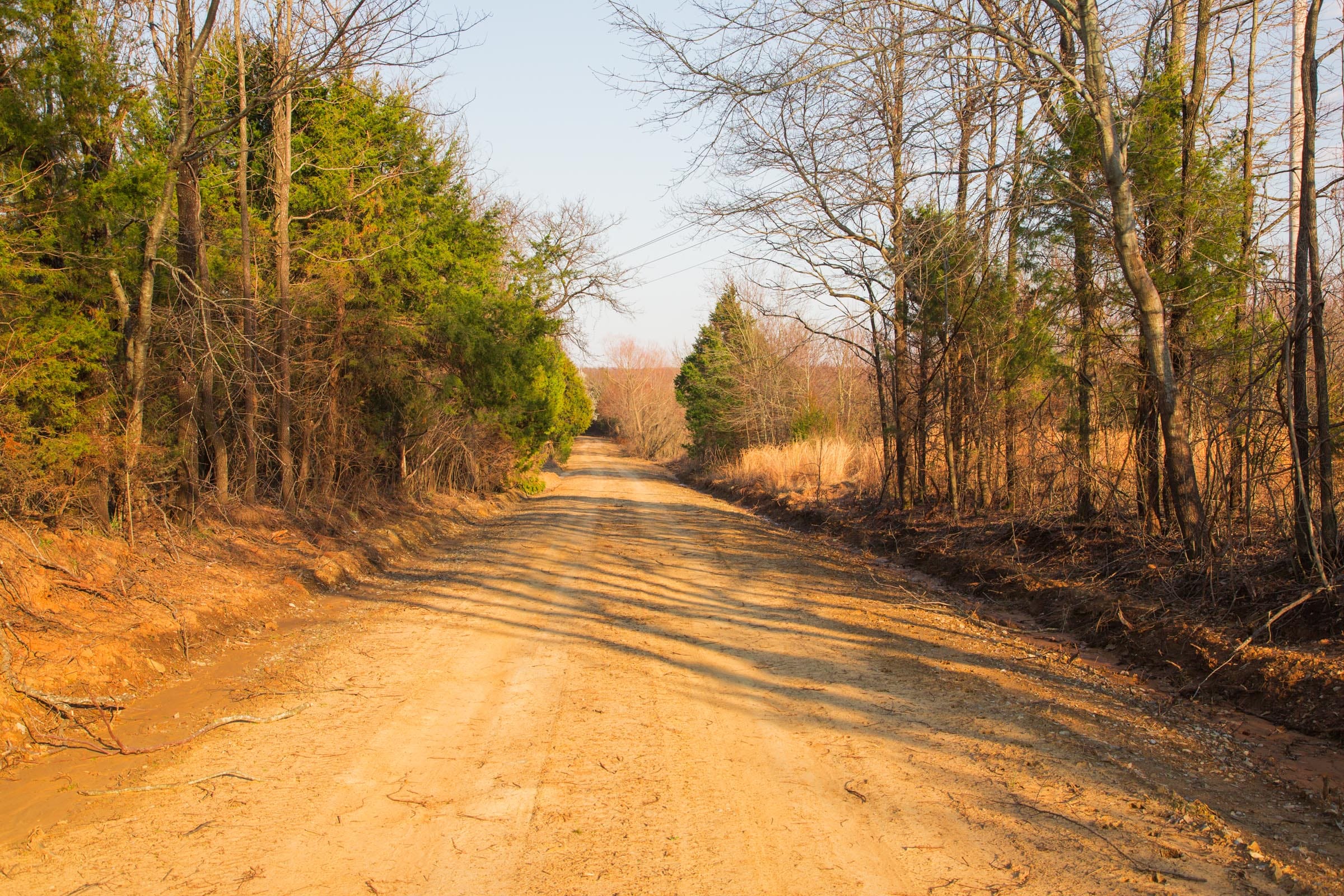 Eufaula Cove Tract 10 photo 7
