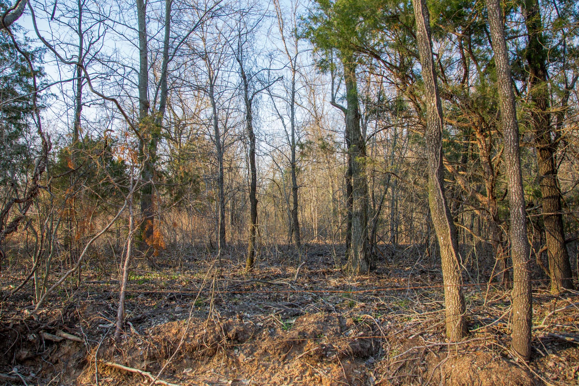 Eufaula Cove Tract 10 photo 10