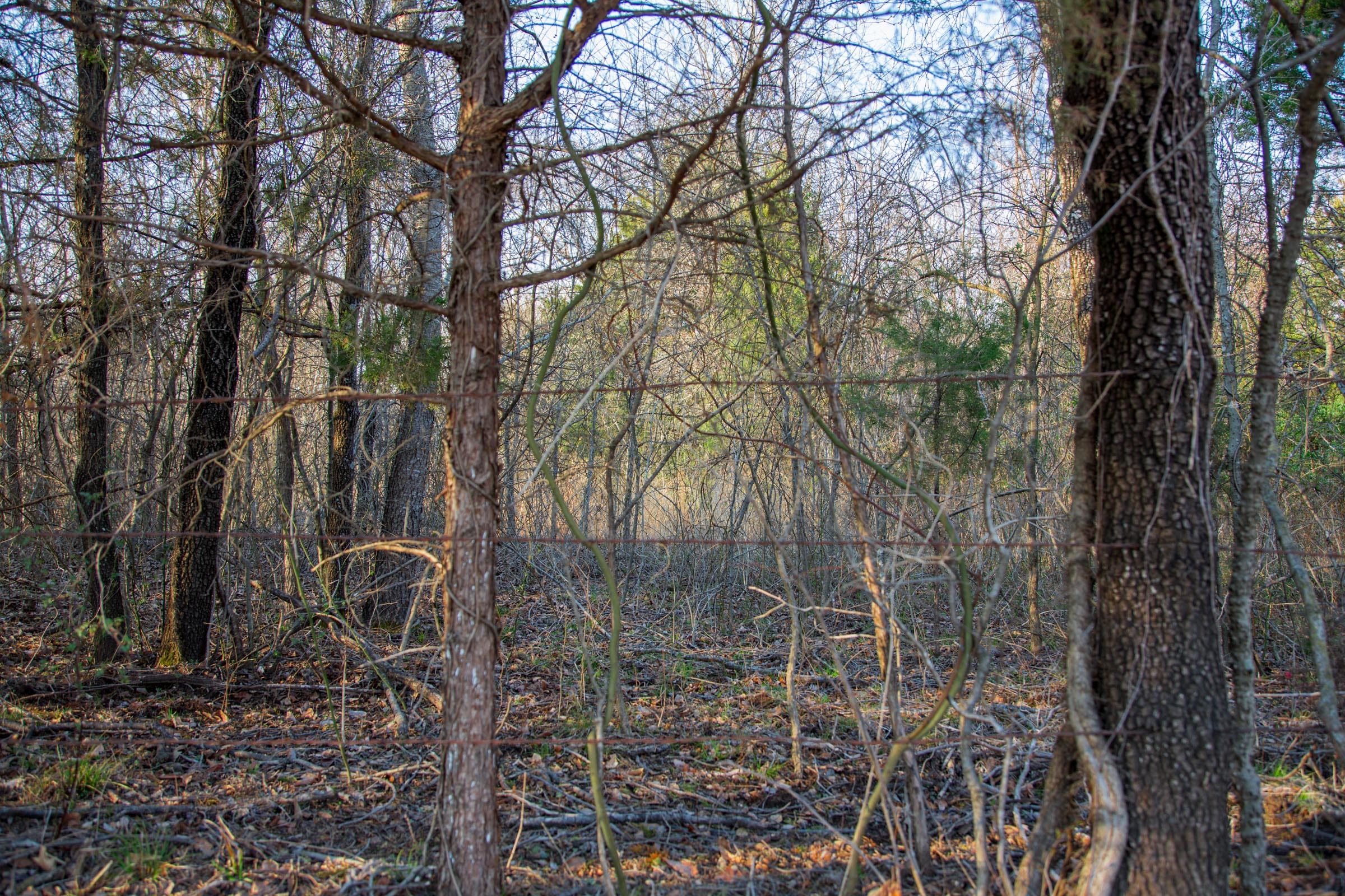 Eufaula Cove Tract 10 photo 11
