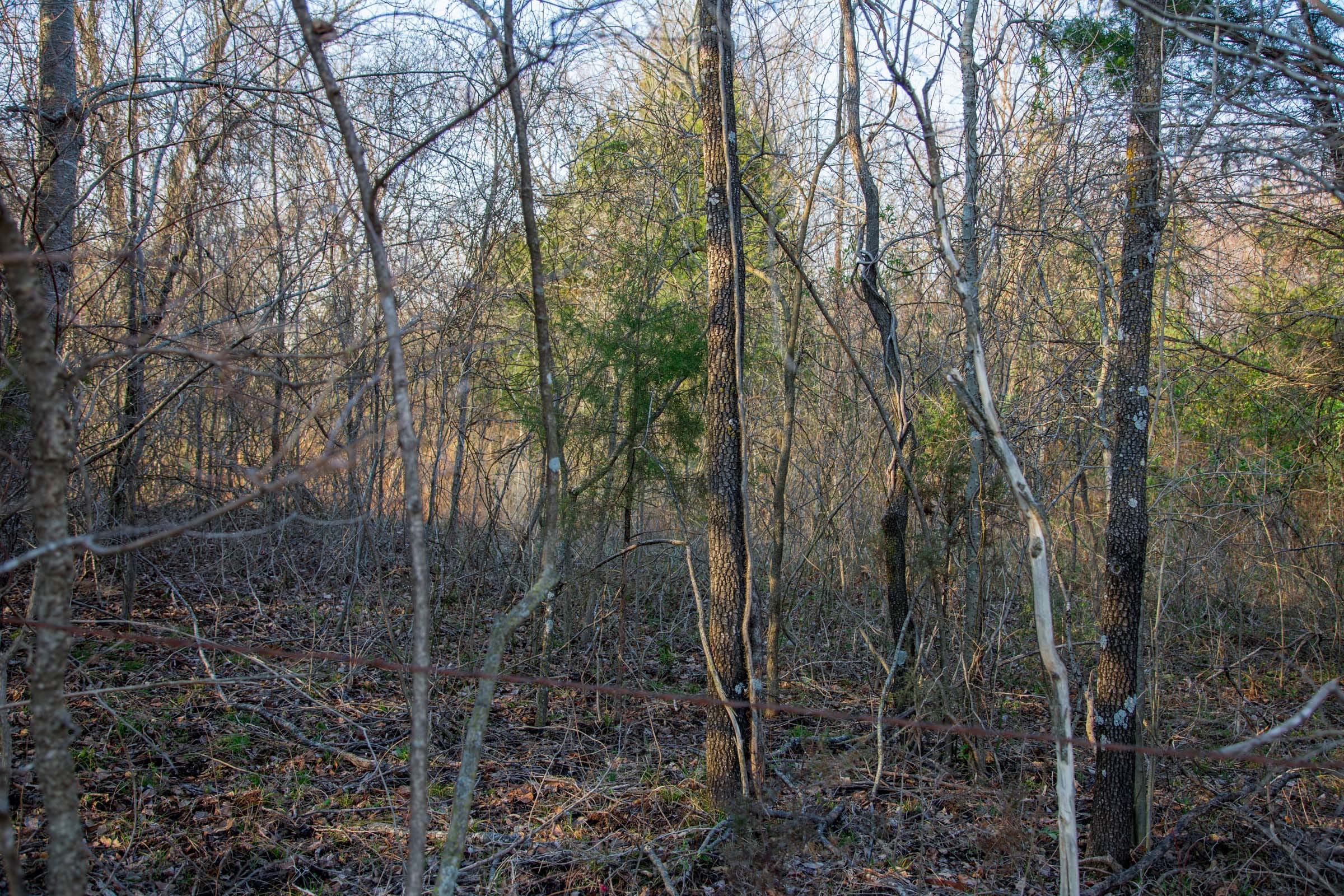 Eufaula Cove Tract 10 photo 12