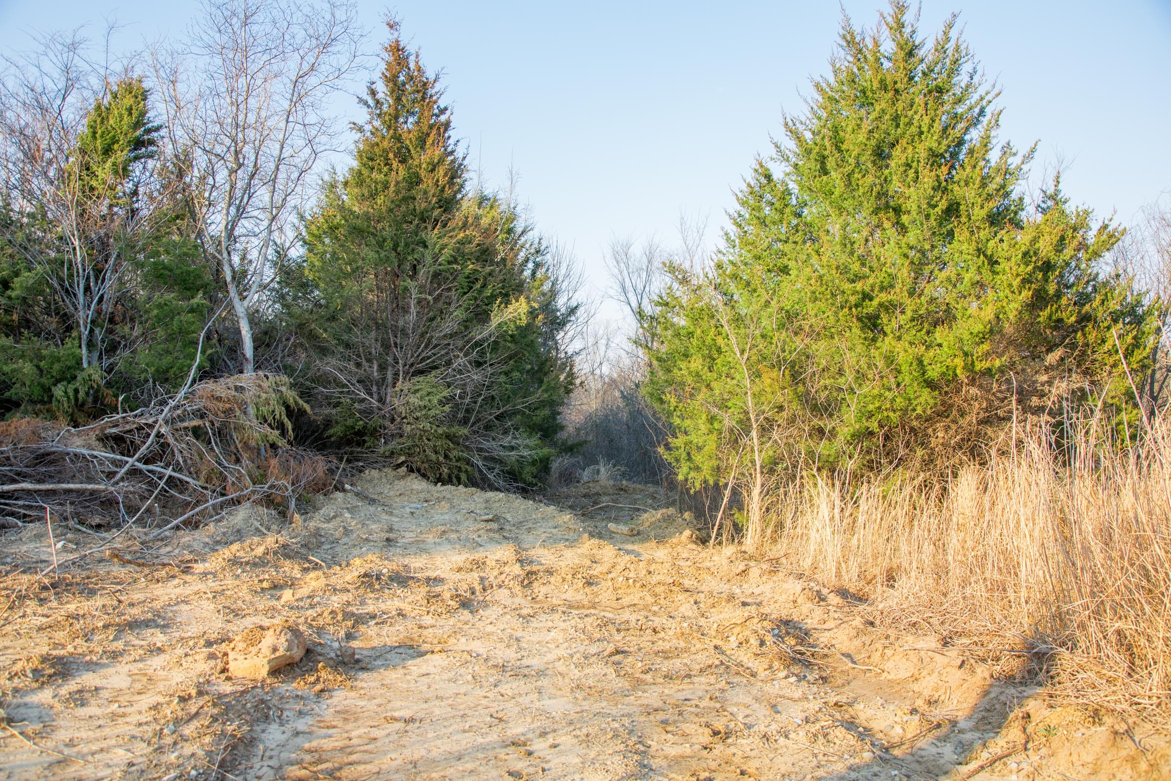 Eufaula Cove Tract 10 photo 14