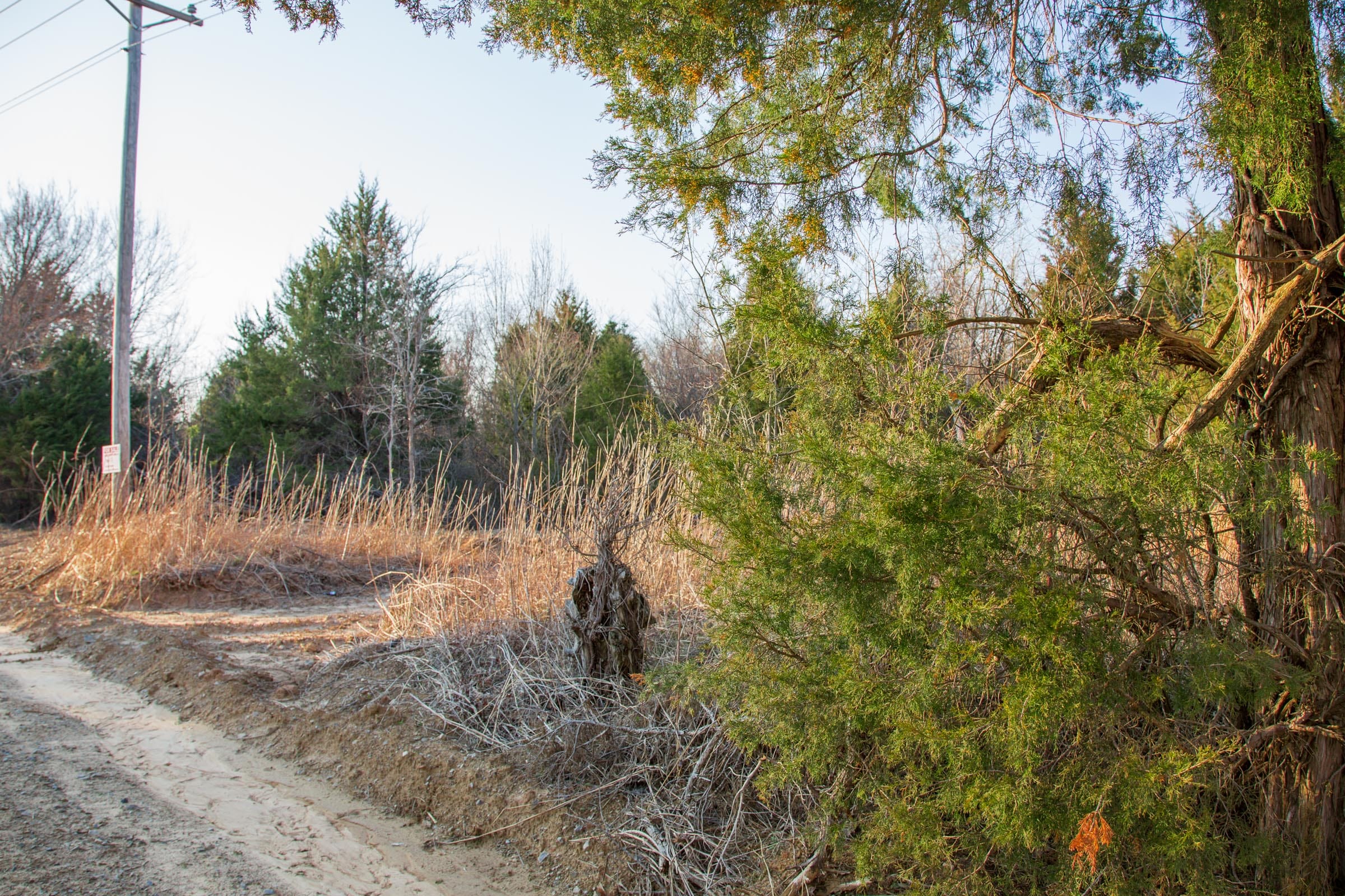 Eufaula Cove Tract 10 photo 16