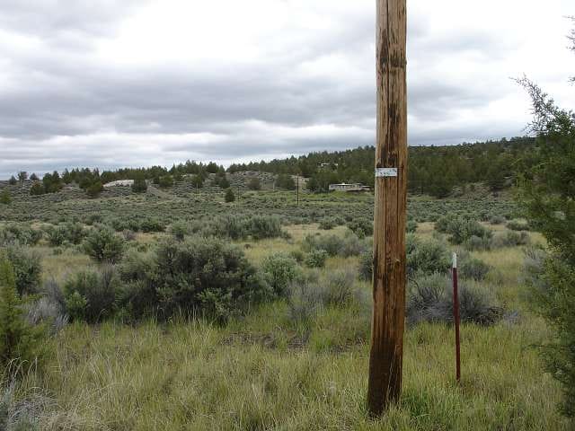 California Pines Tract 55 photo 2