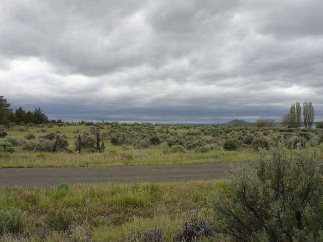 California Pines Tract 55 photo 6