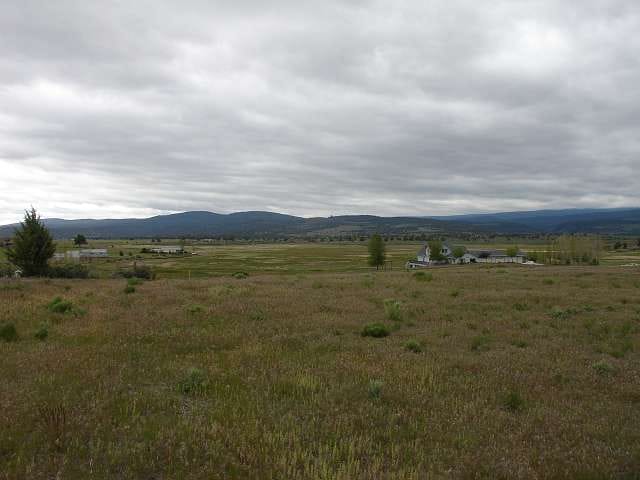 California Pines Tract 55 photo 7