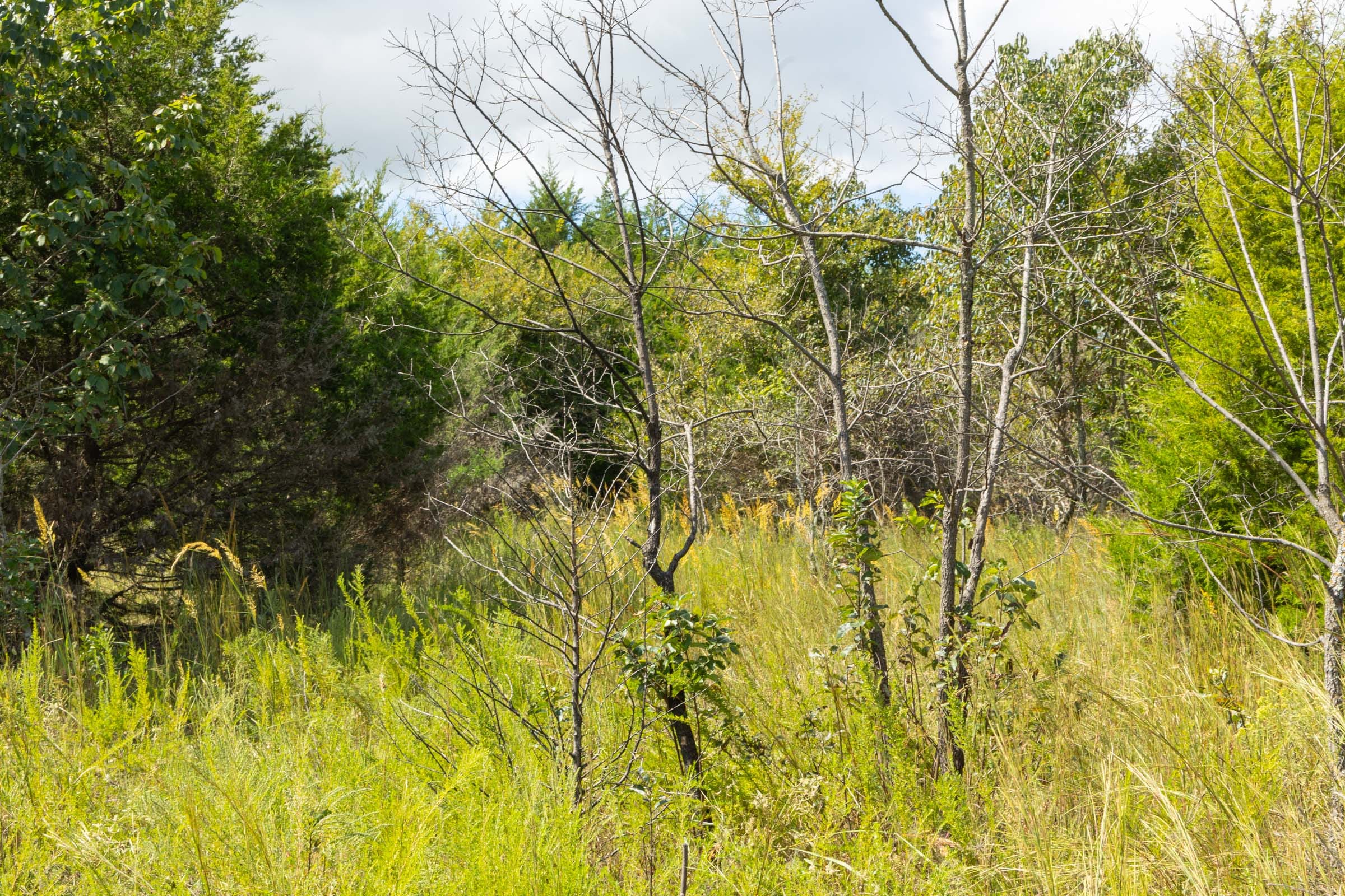 Reserves At Cattail Cove Phase II Tract 62 photo 6