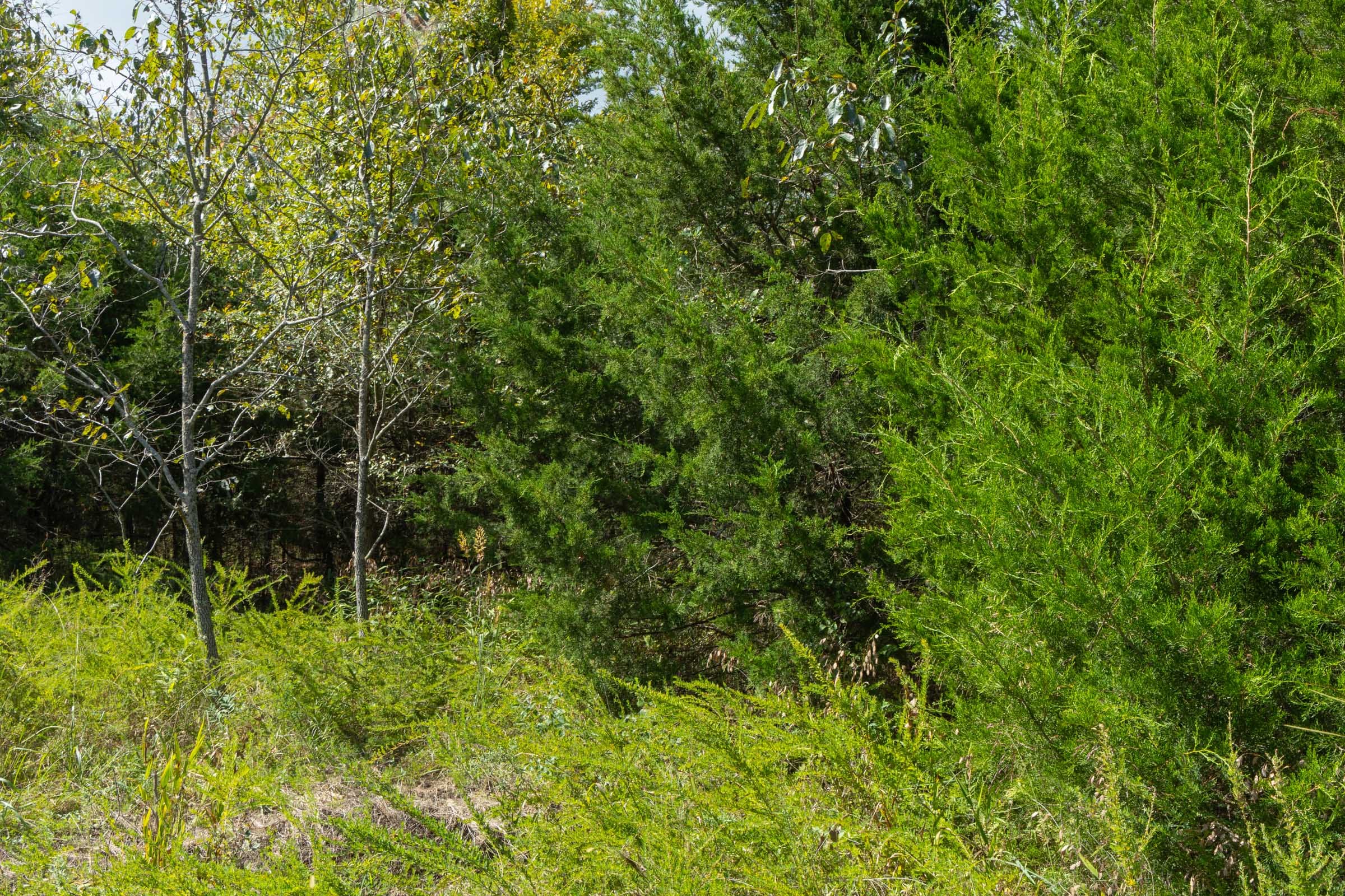 Reserves At Cattail Cove Phase II Tract 62 photo 4