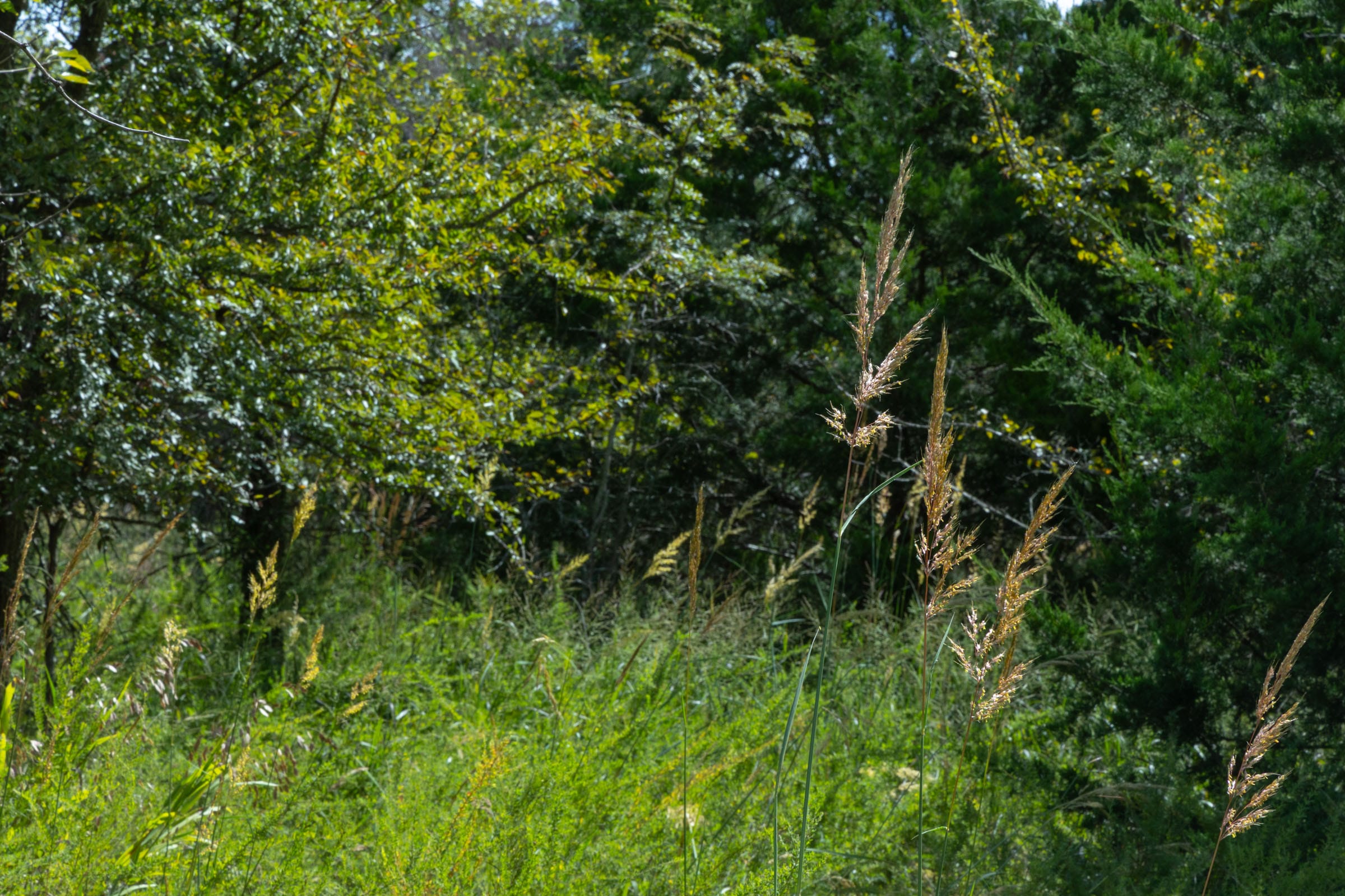 Reserves At Cattail Cove Phase II Tract 62 photo 7