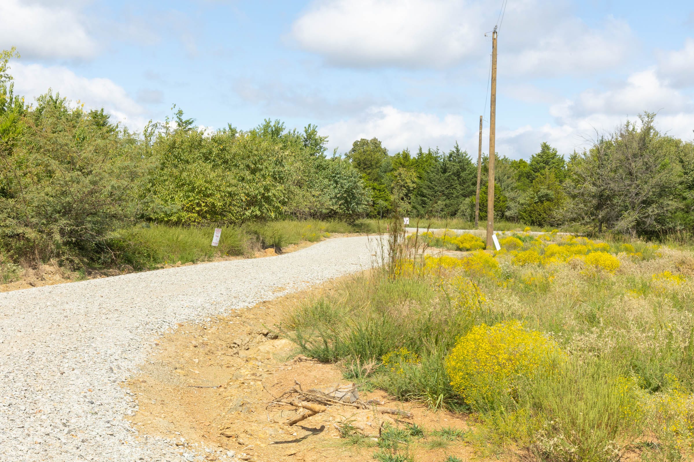 Reserves At Cattail Cove Phase II Tract 62 photo 3