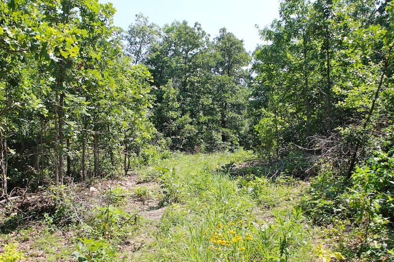 Green Mountain Ranch Tract 48 photo 1