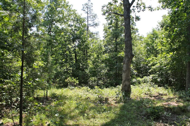 Green Mountain Ranch Tract 48 photo 7