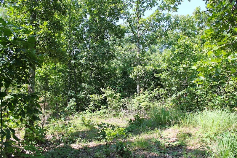 Green Mountain Ranch Tract 48 photo 8