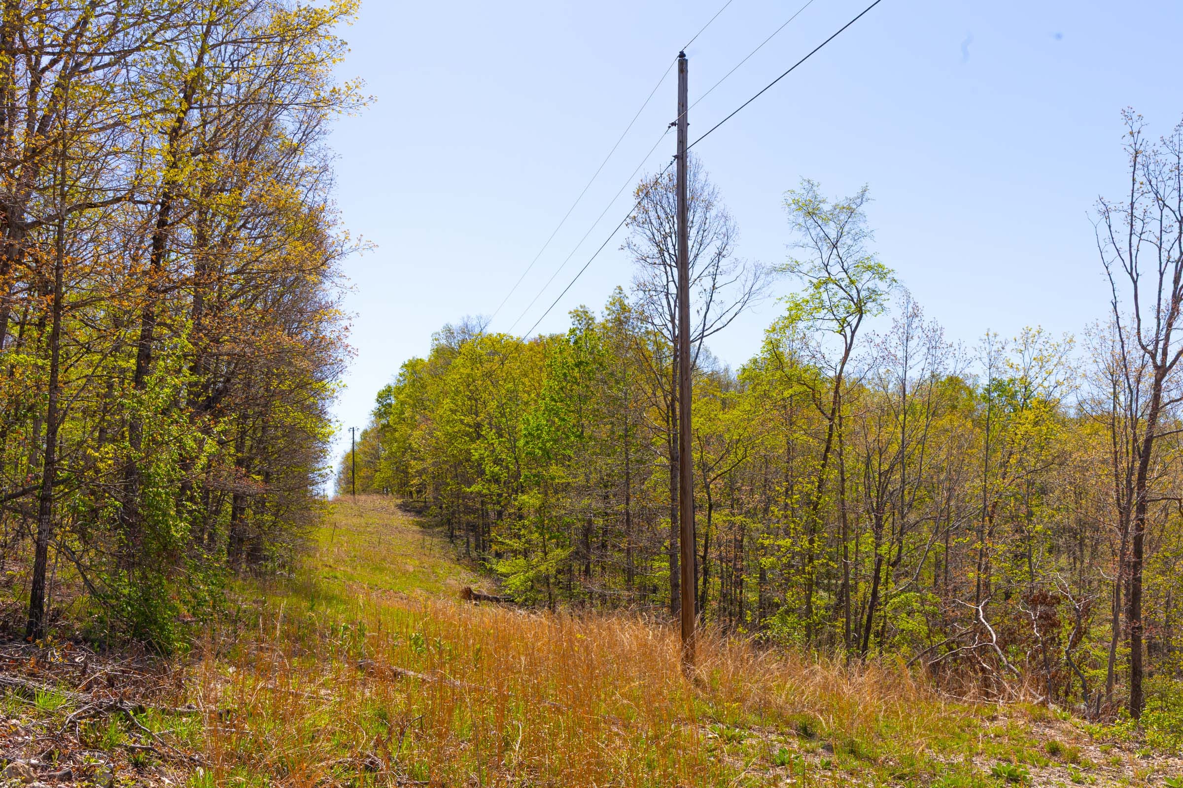 Lazybrook Tract 2 photo 2