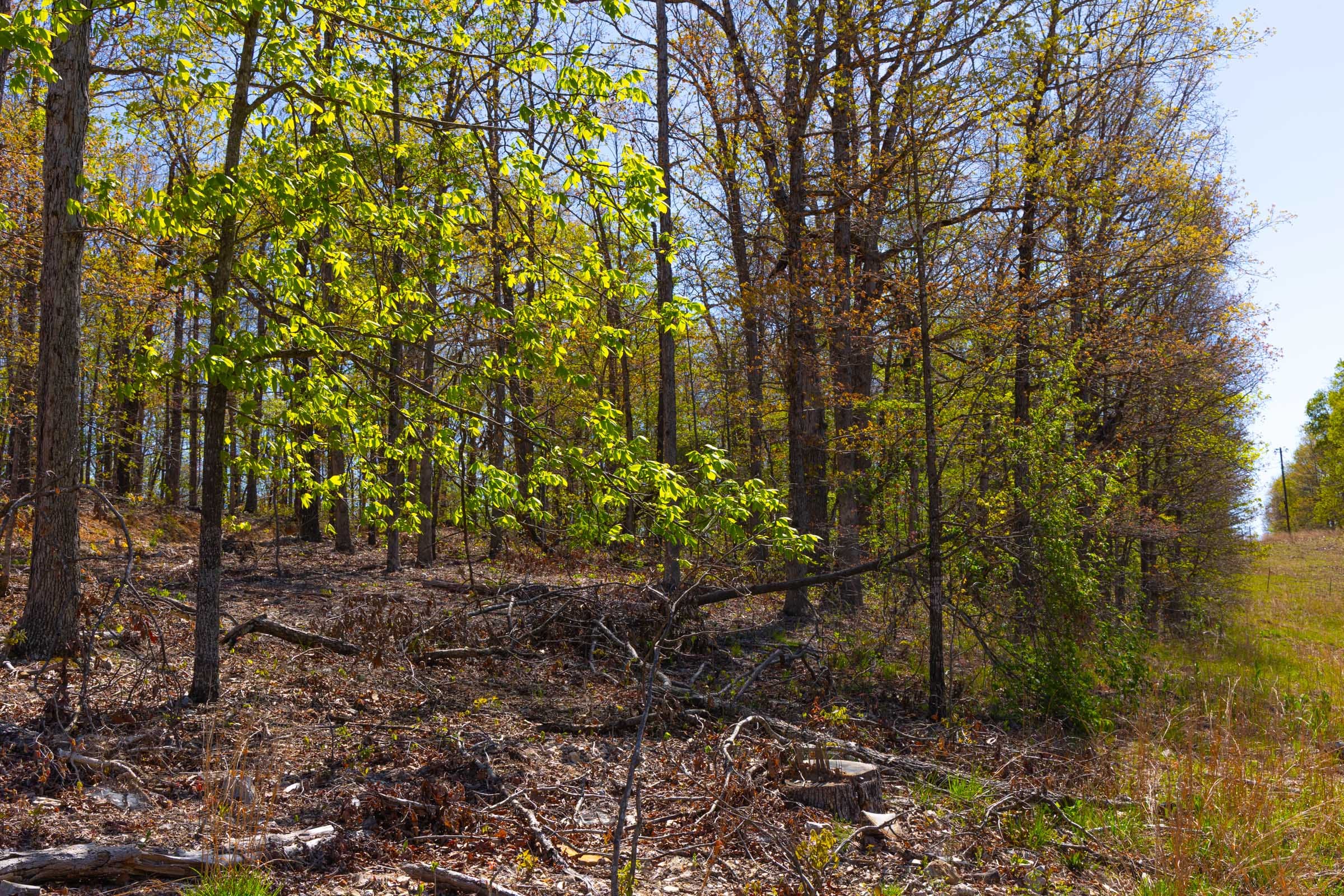 Lazybrook Tract 2 photo 6
