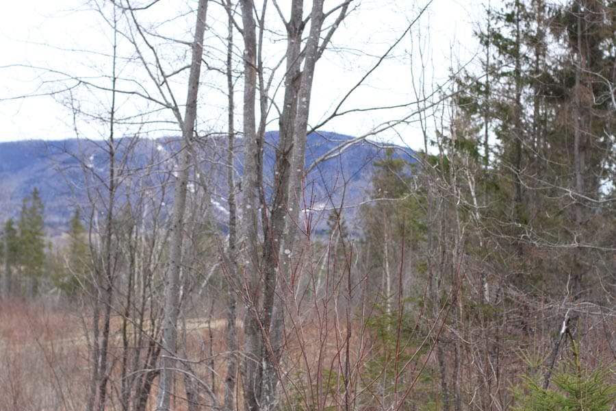 Sunrise Estates Tract 10 photo 1