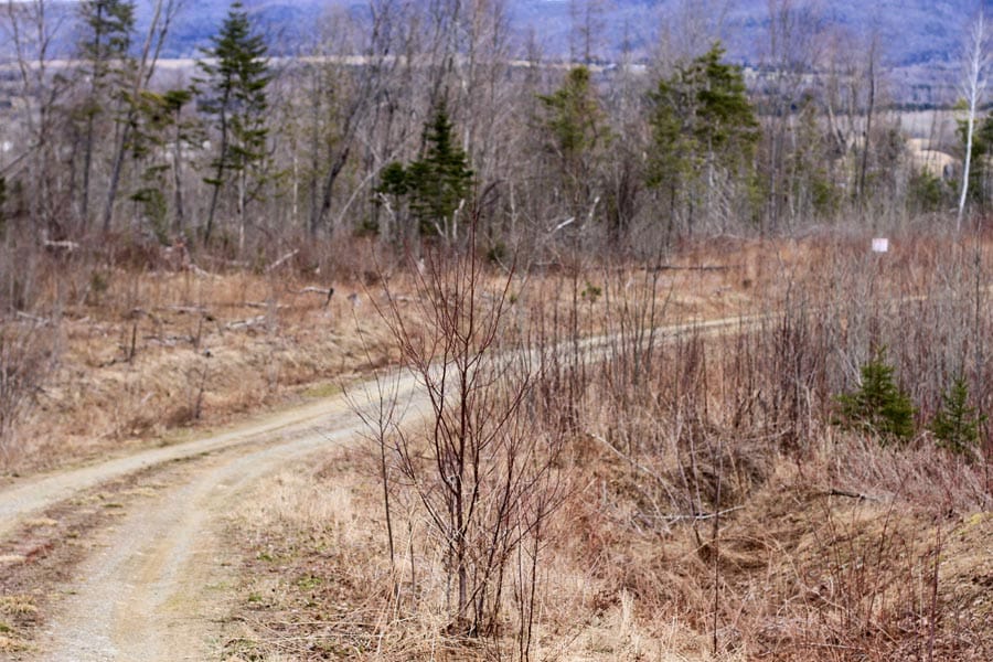 Sunrise Estates Tract 10 photo 3
