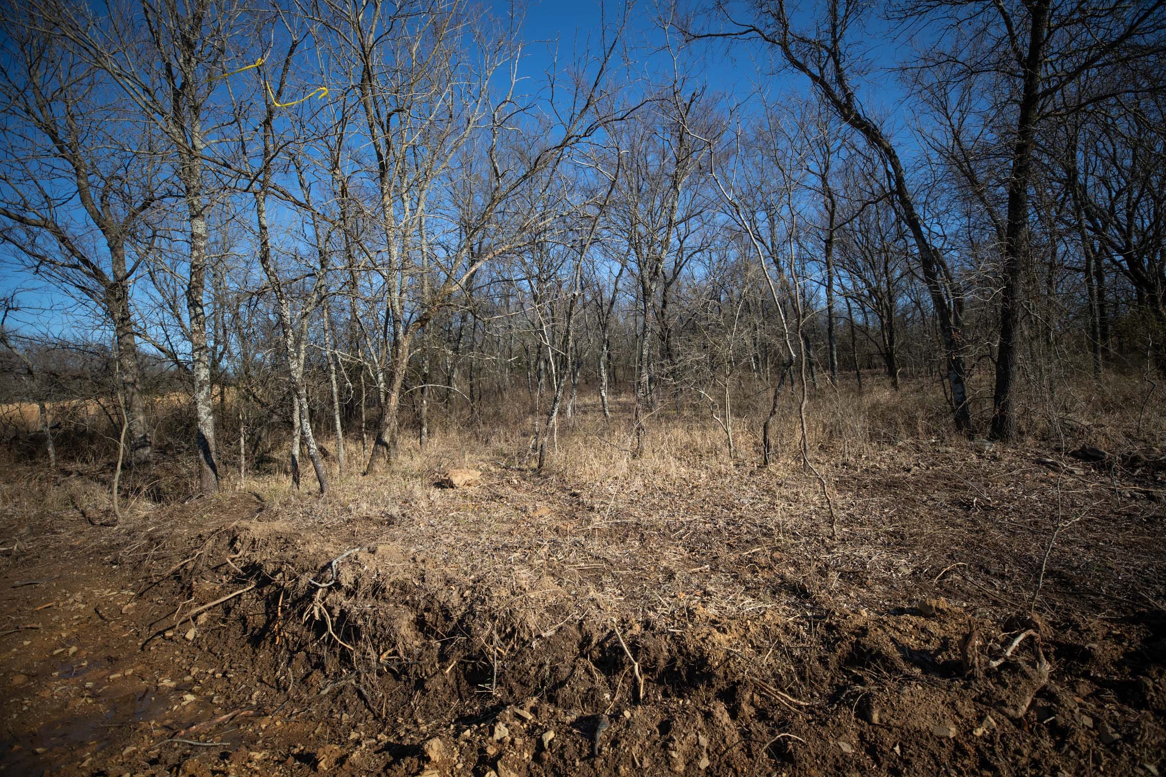 Painted Horse Tract 55 photo 1