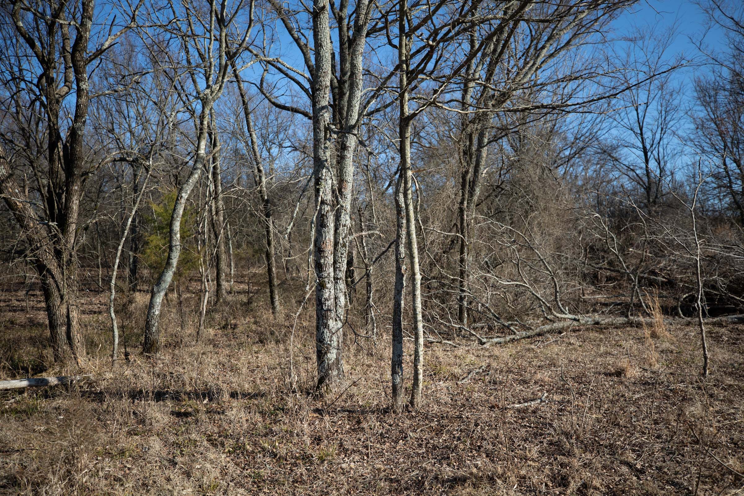 Painted Horse Tract 55 photo 2