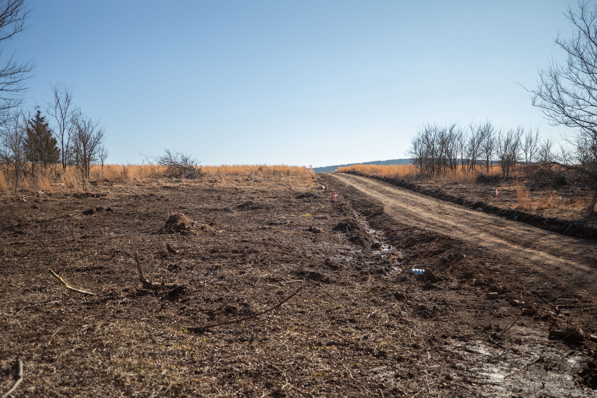 Painted Horse Tract 55 photo 3