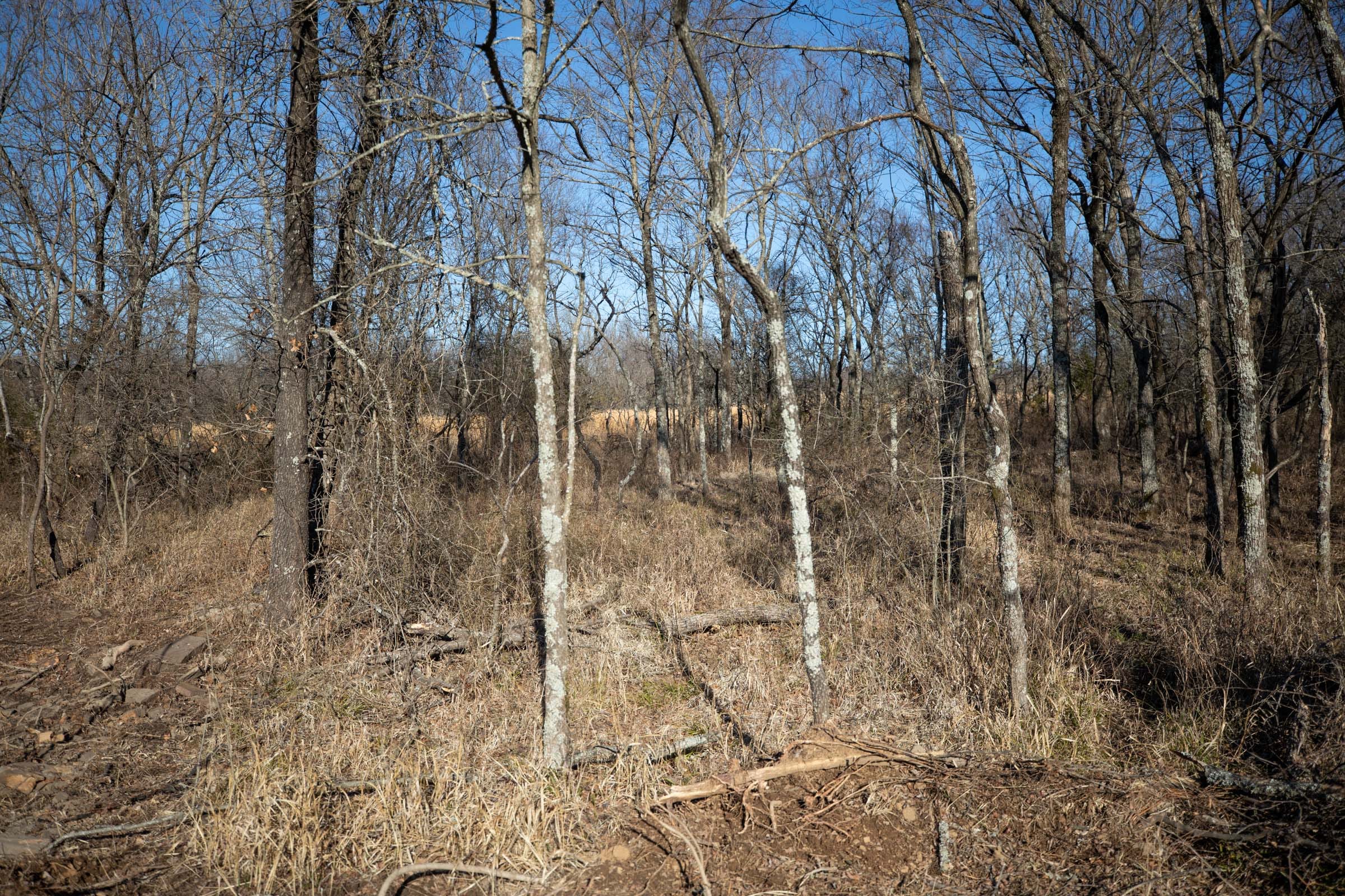 Painted Horse Tract 55 photo 4