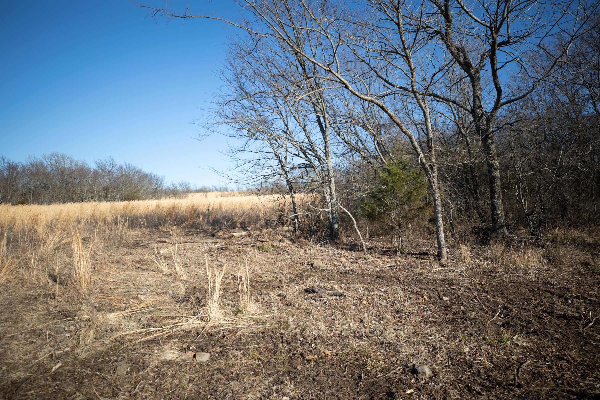 Painted Horse Tract 55 photo 6