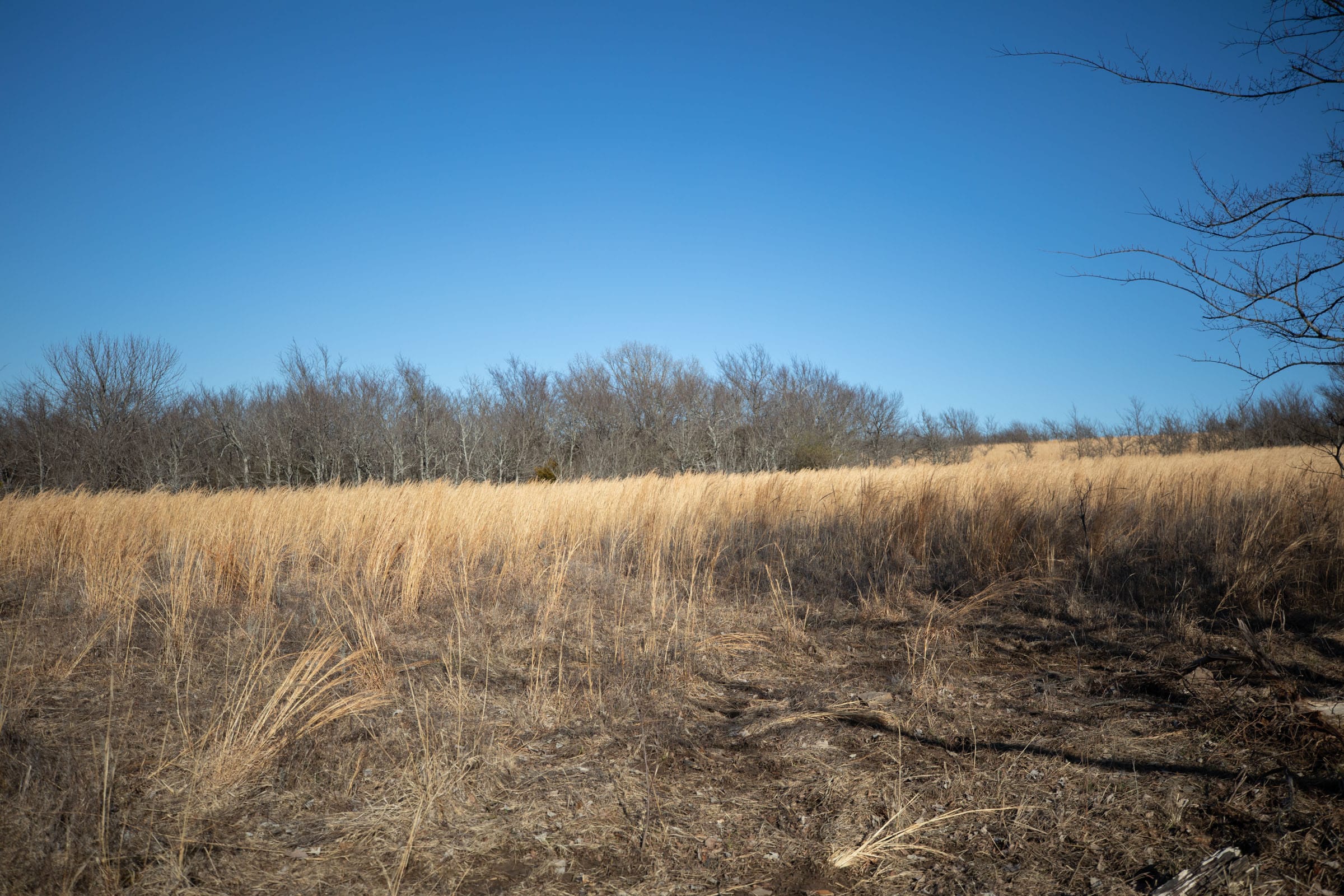 Painted Horse Tract 55 photo 7