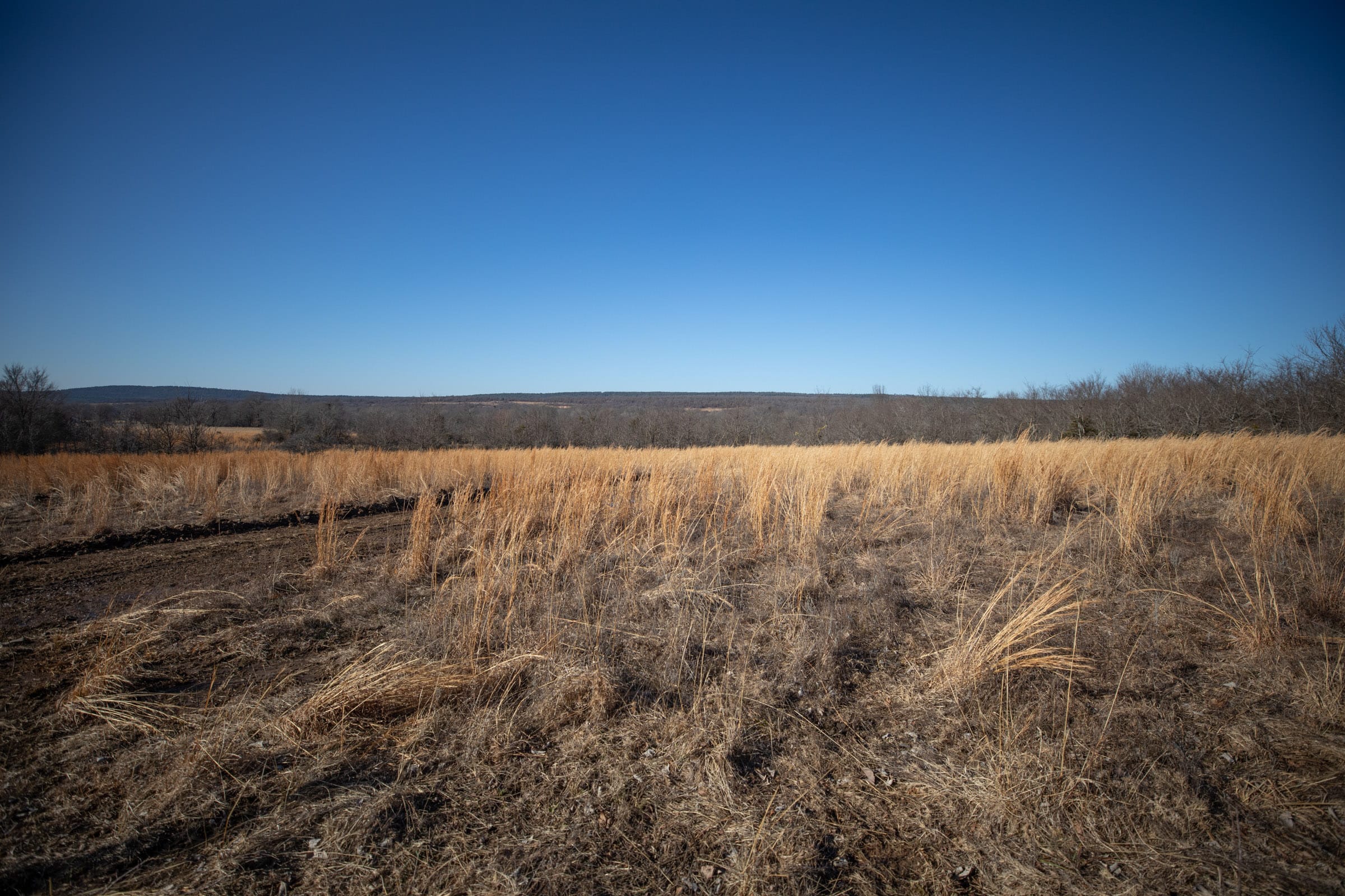 Painted Horse Tract 55 photo 8