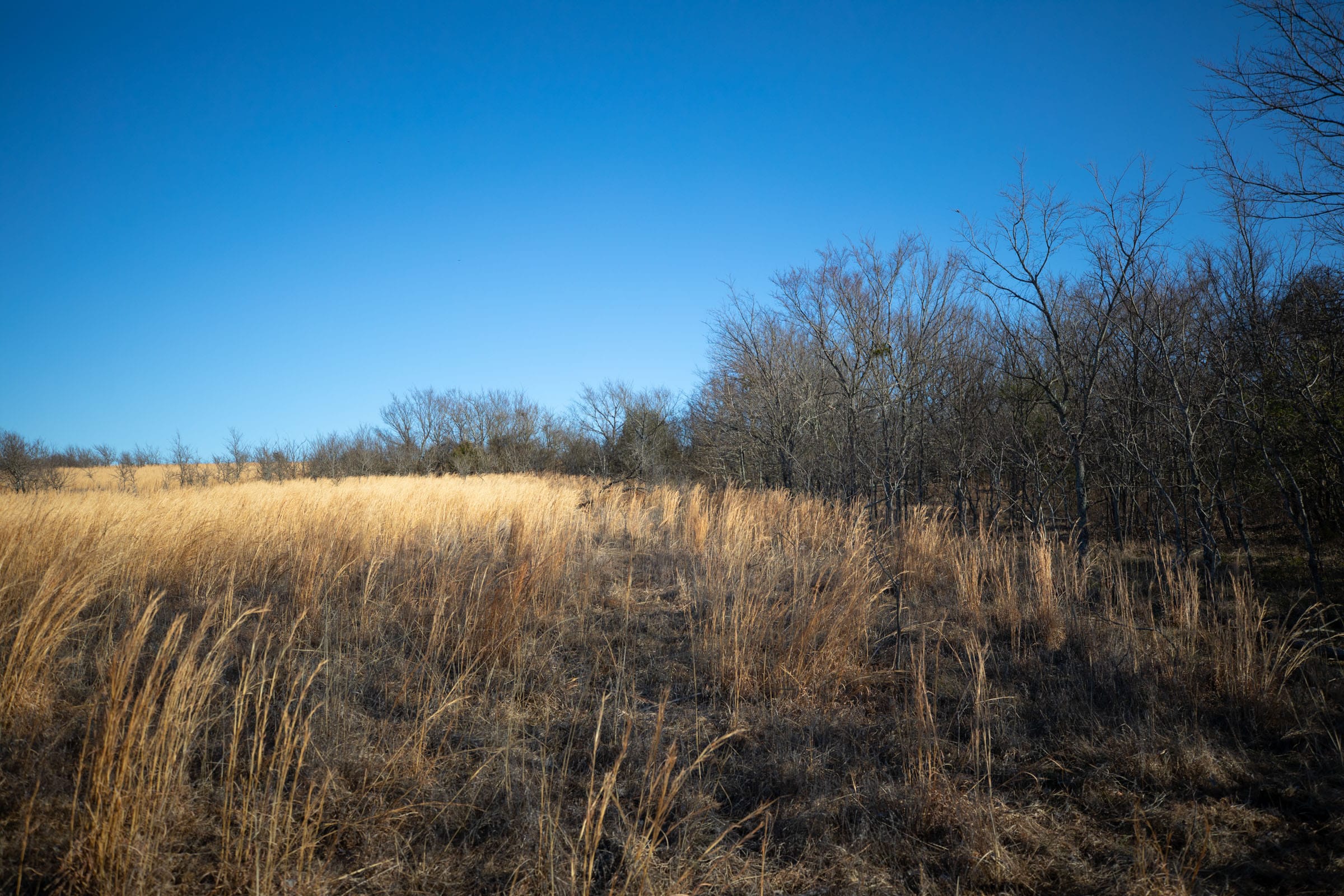 Painted Horse Tract 55 photo 10