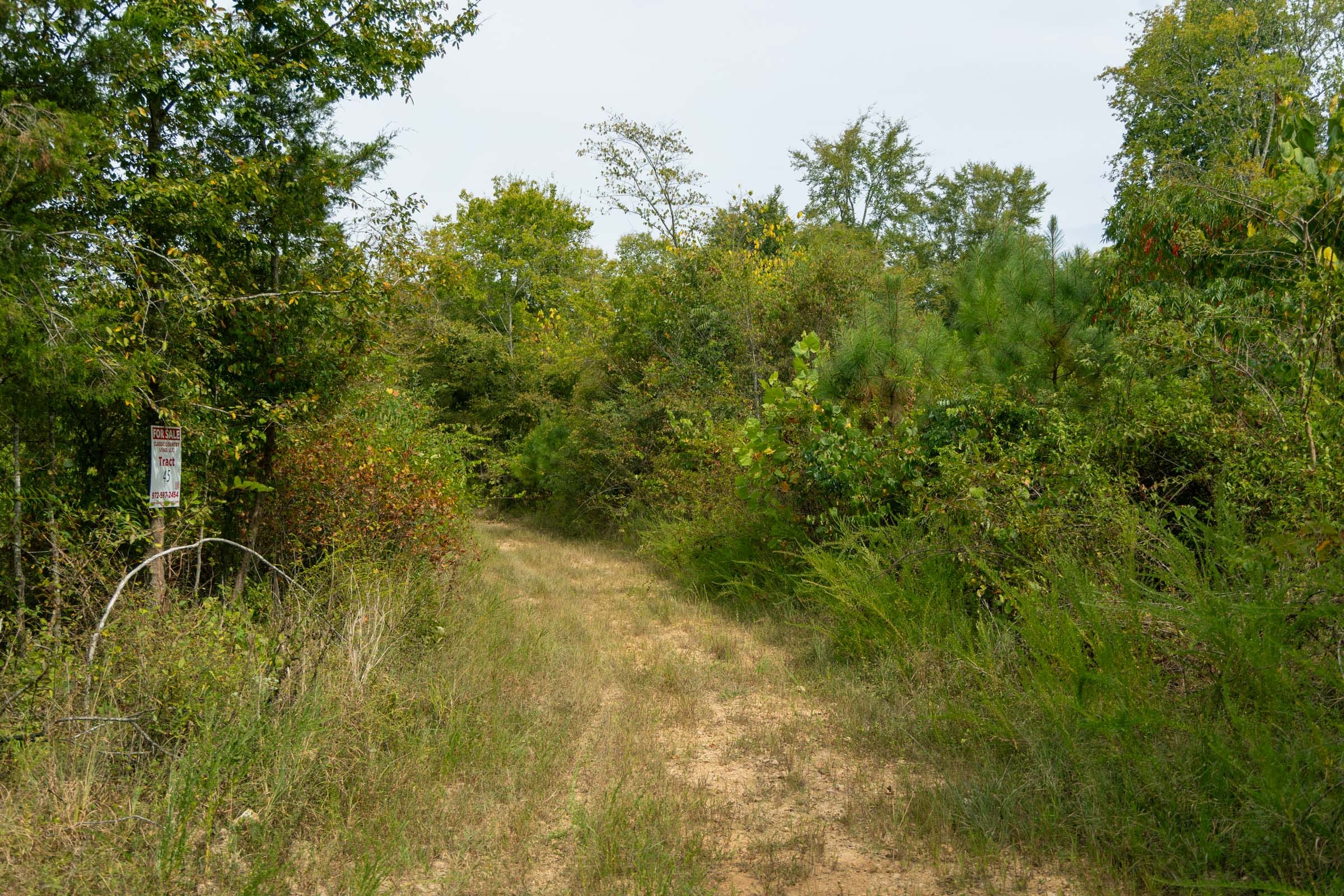 Big White Oak Tract 46 photo 5