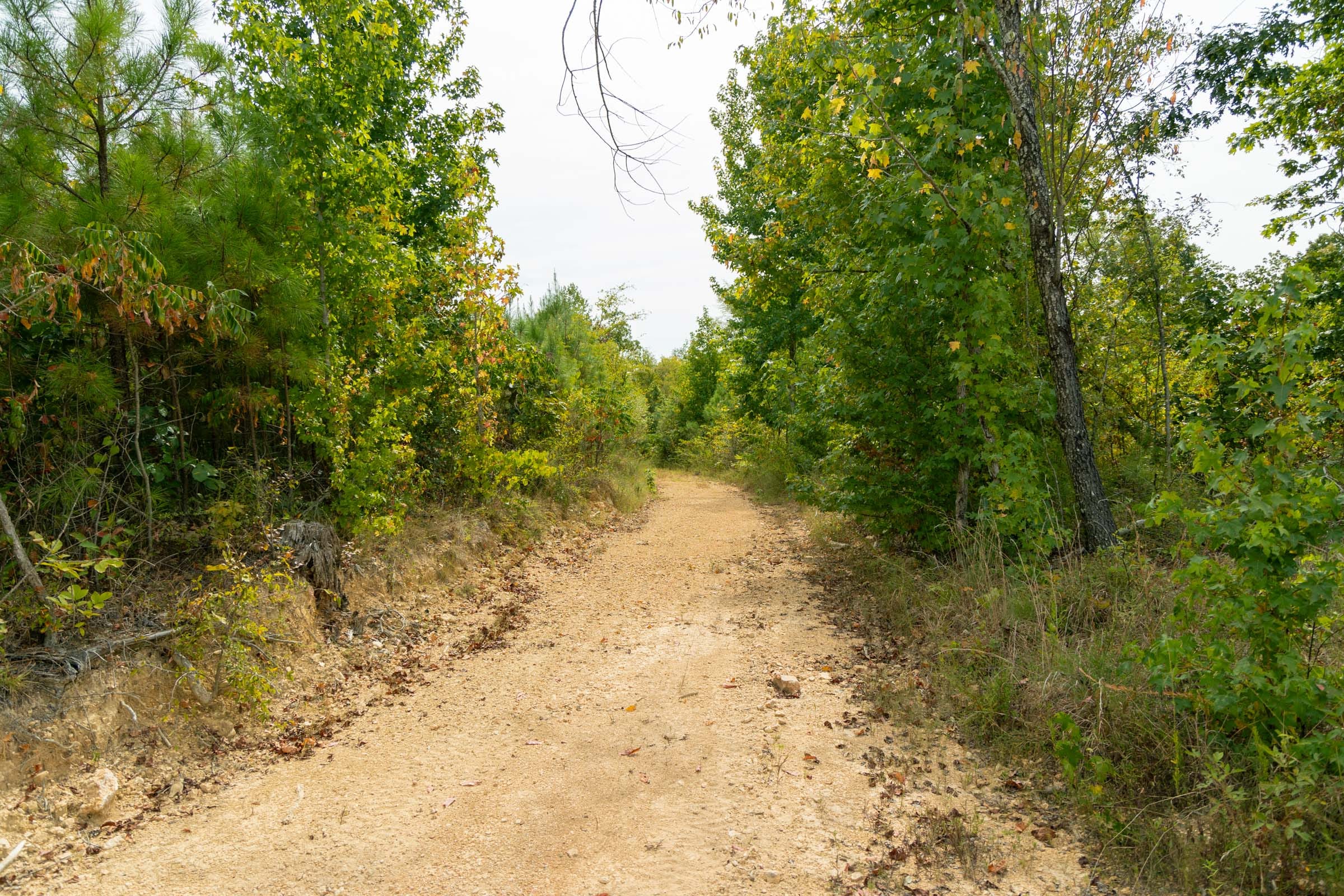 Big White Oak Tract 46 photo 1