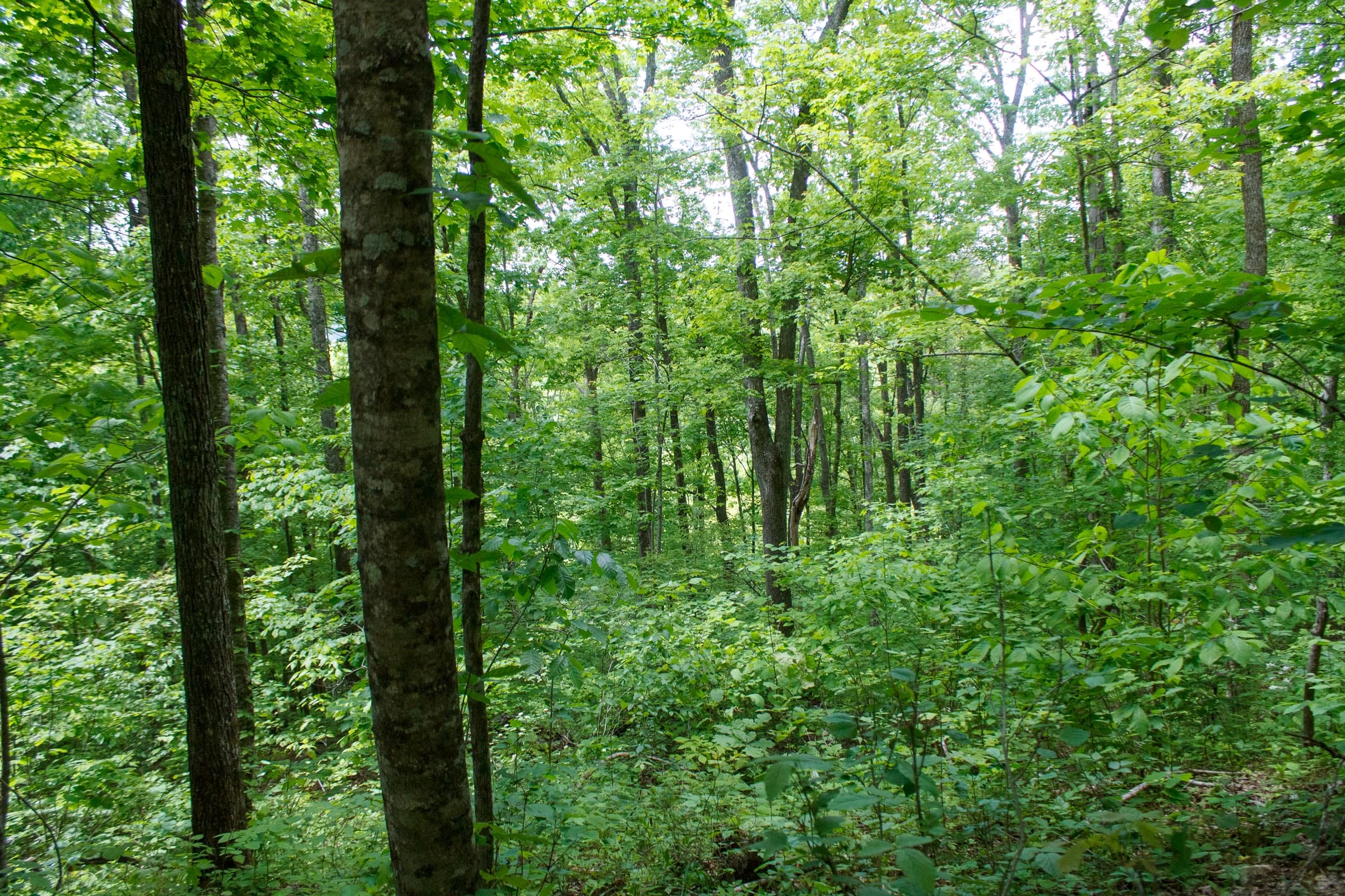 Riverbend Tract 2 photo 2