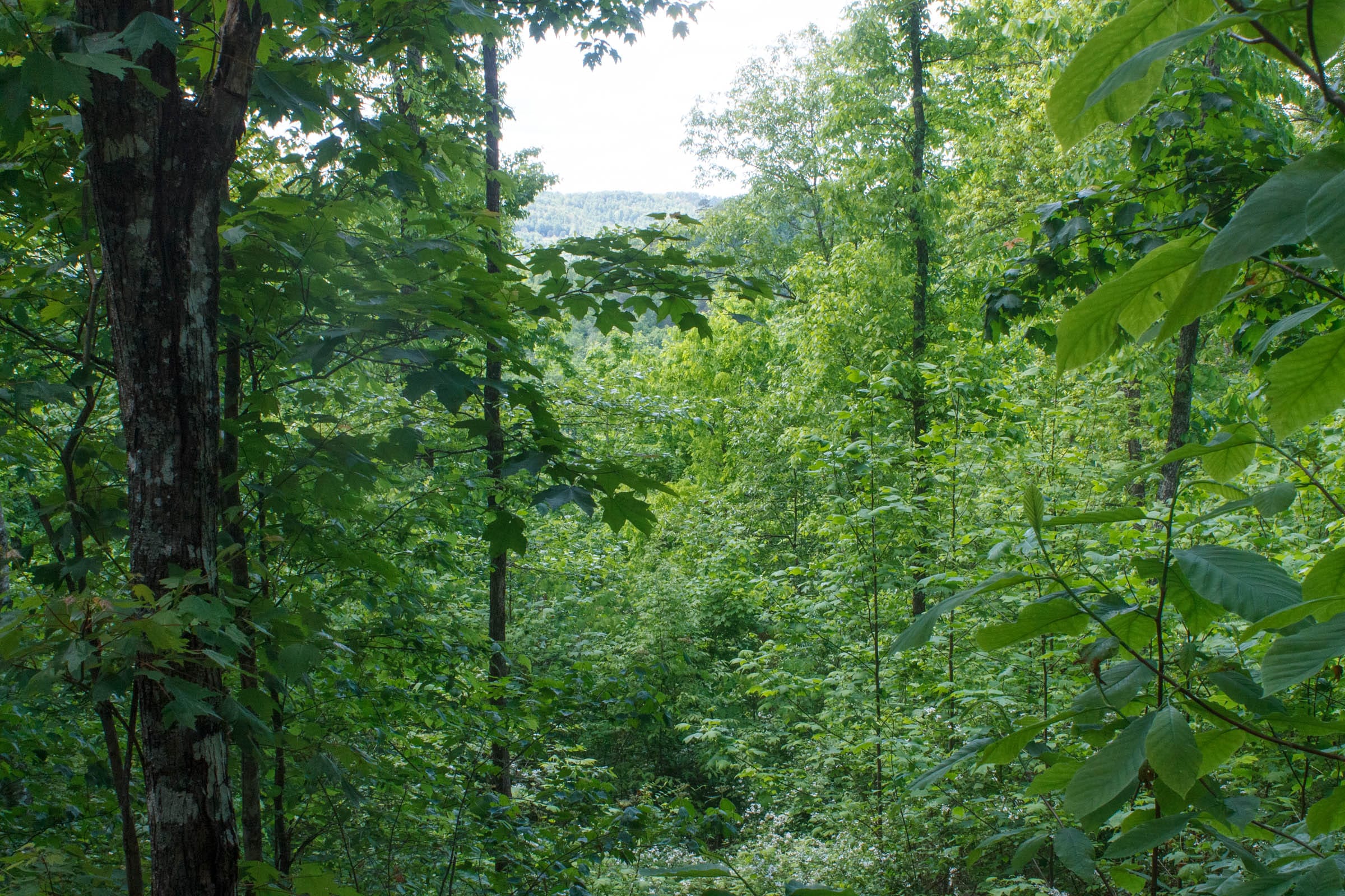 Riverbend Tract 2 photo 18
