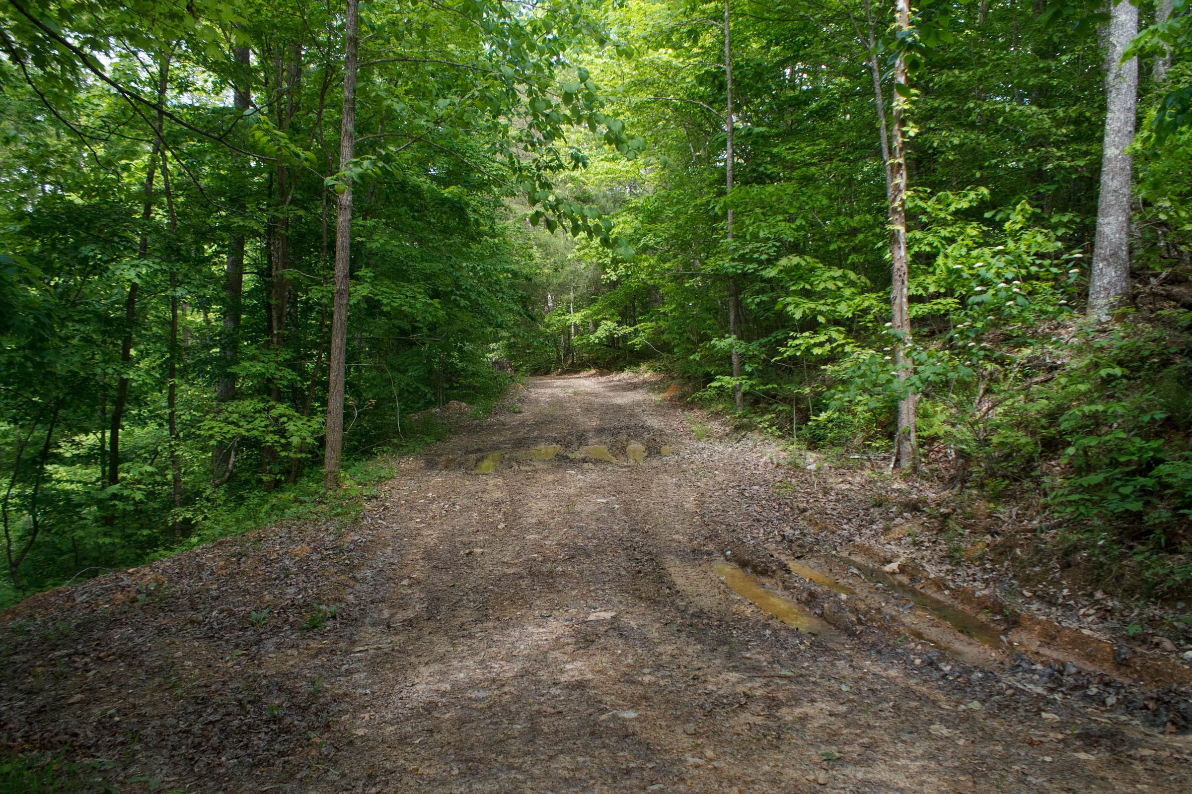 Riverbend Tract 2 photo 1