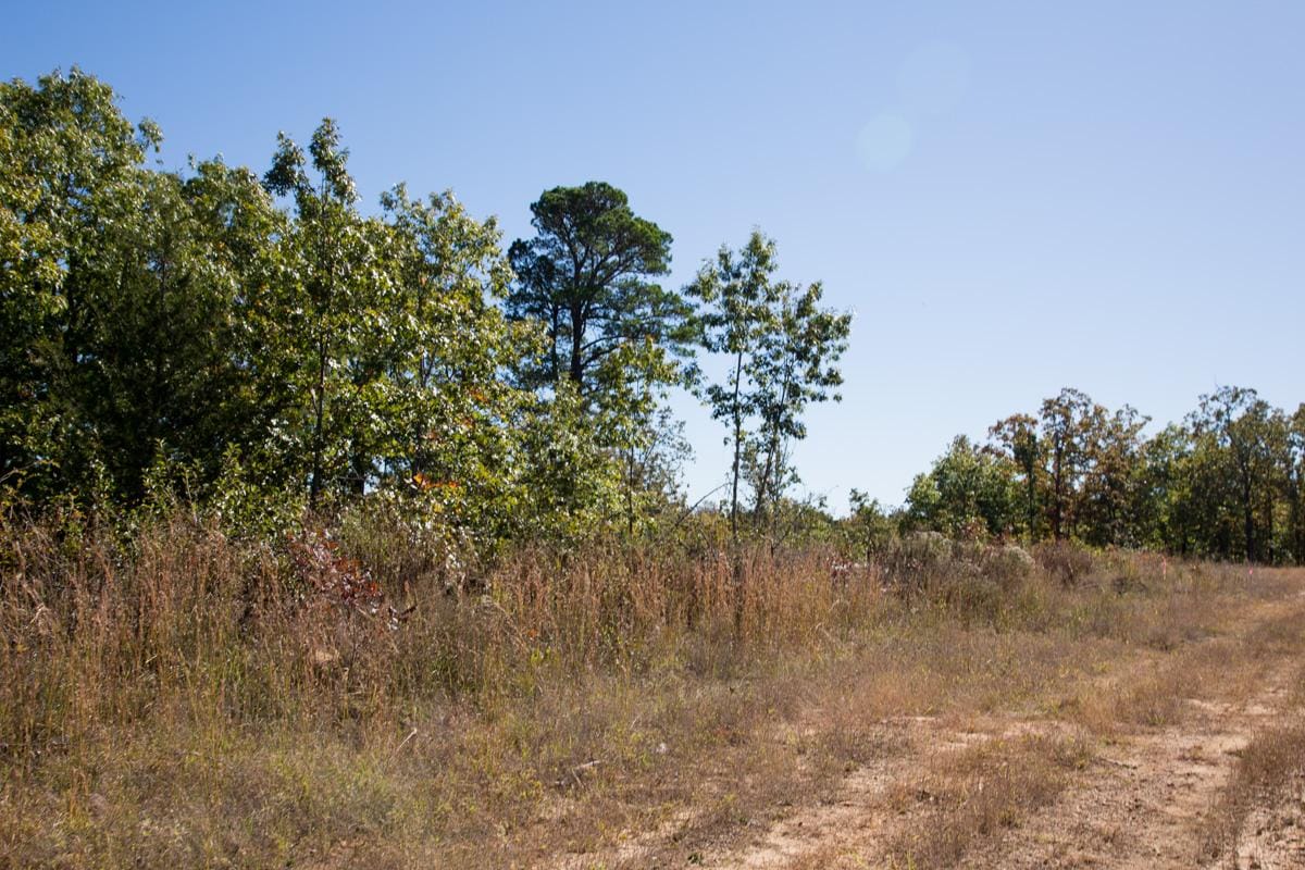 Stone Creek Phase I Tract 158 photo 2