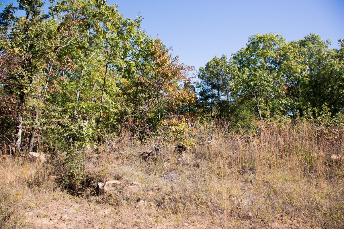 Stone Creek Phase I Tract 158 photo 3