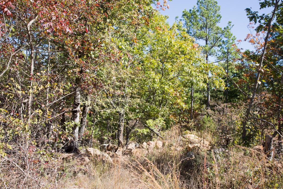 Stone Creek Phase I Tract 158 photo 4
