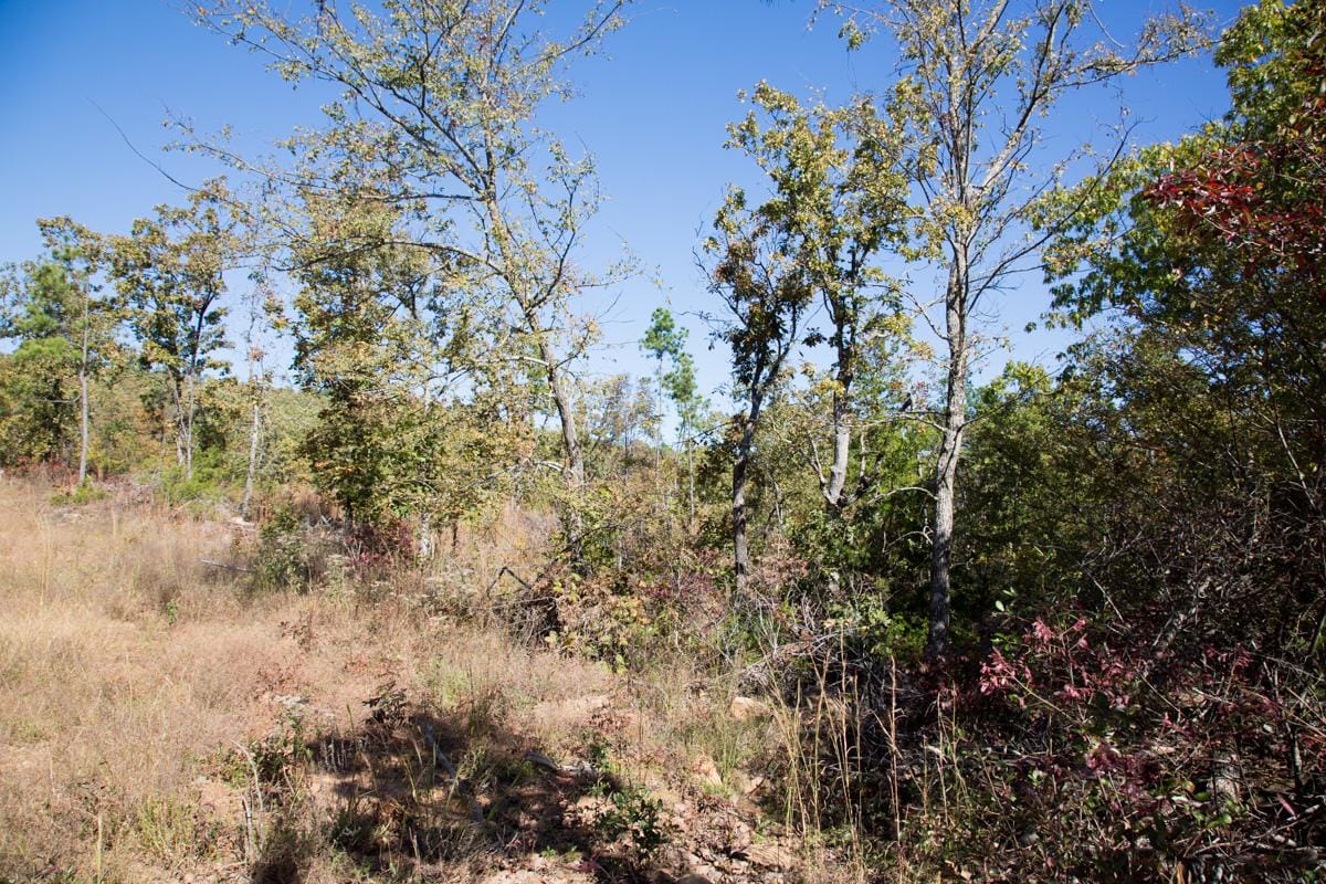 Stone Creek Phase I Tract 158 photo 5