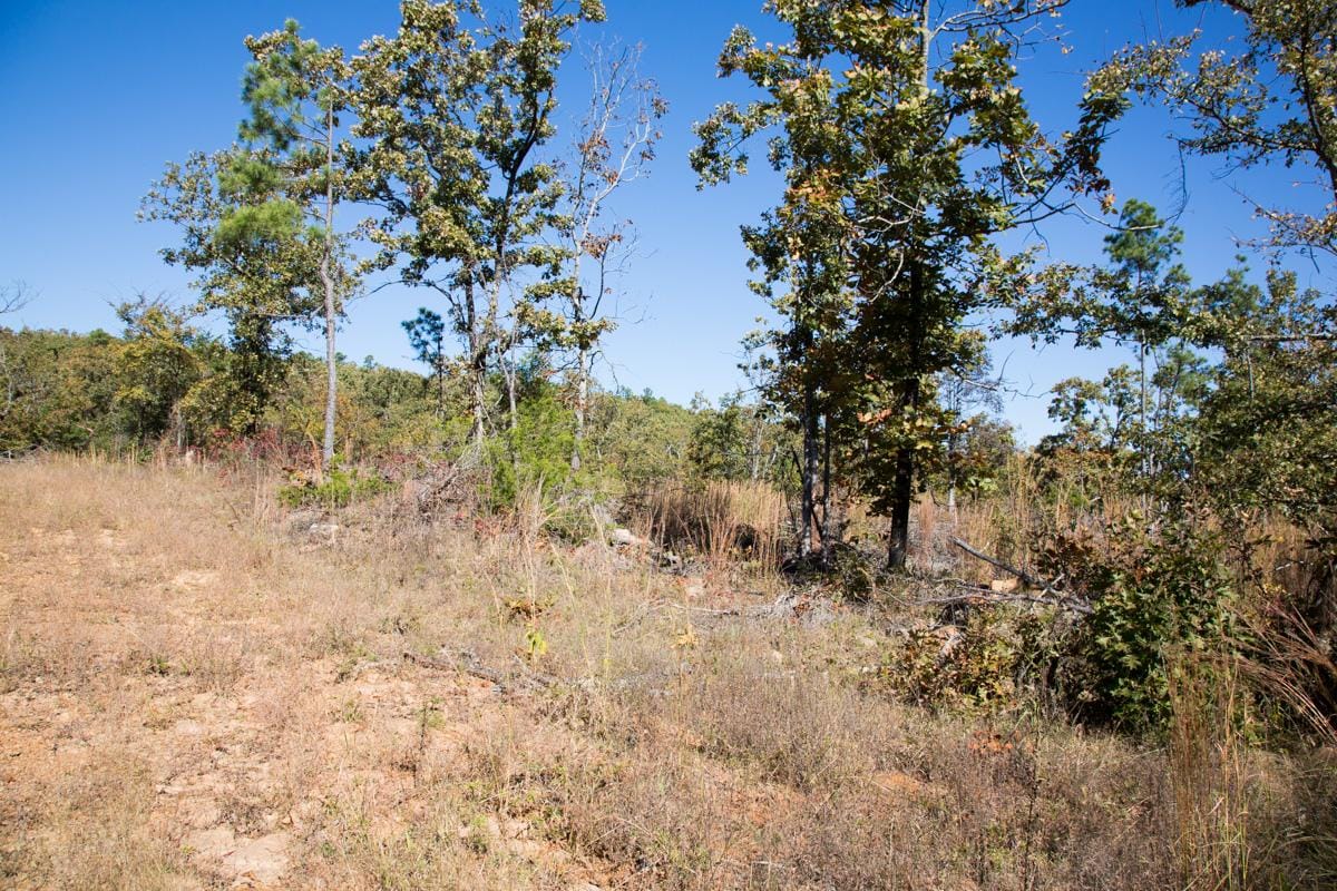 Stone Creek Phase I Tract 158 photo 6