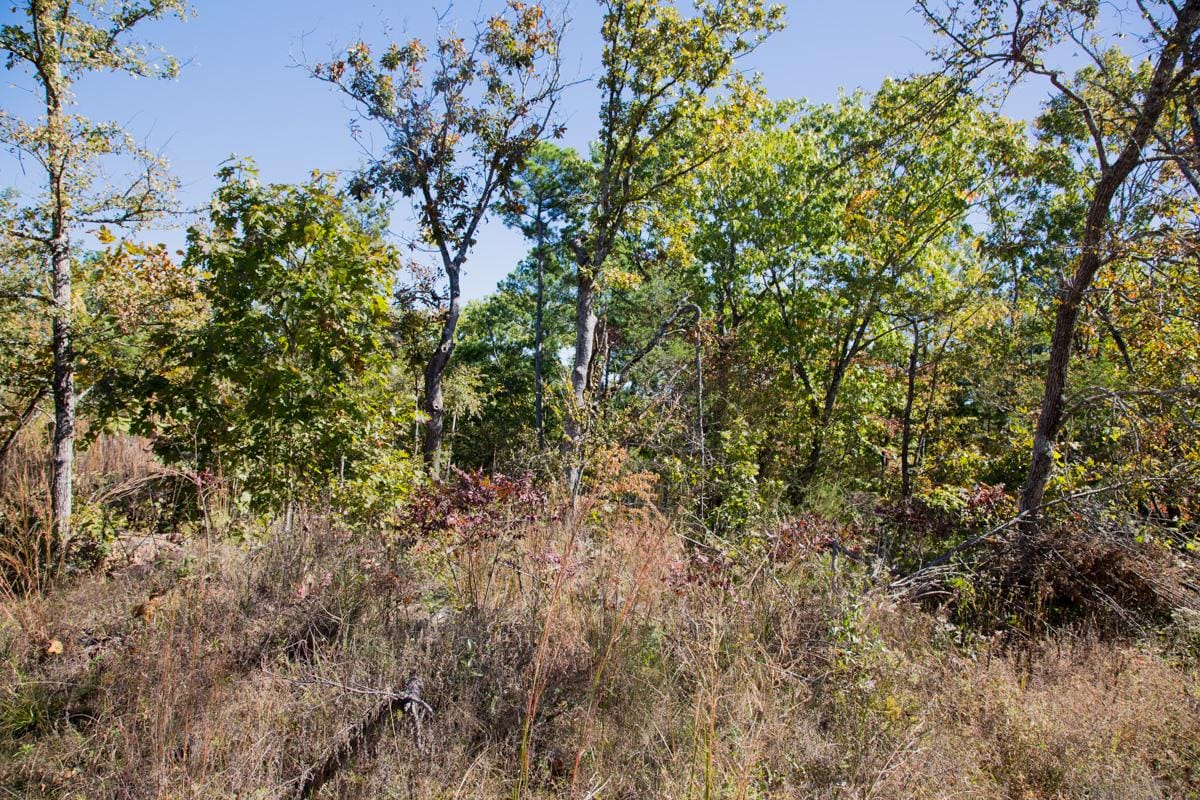 Stone Creek Phase I Tract 158 photo 7